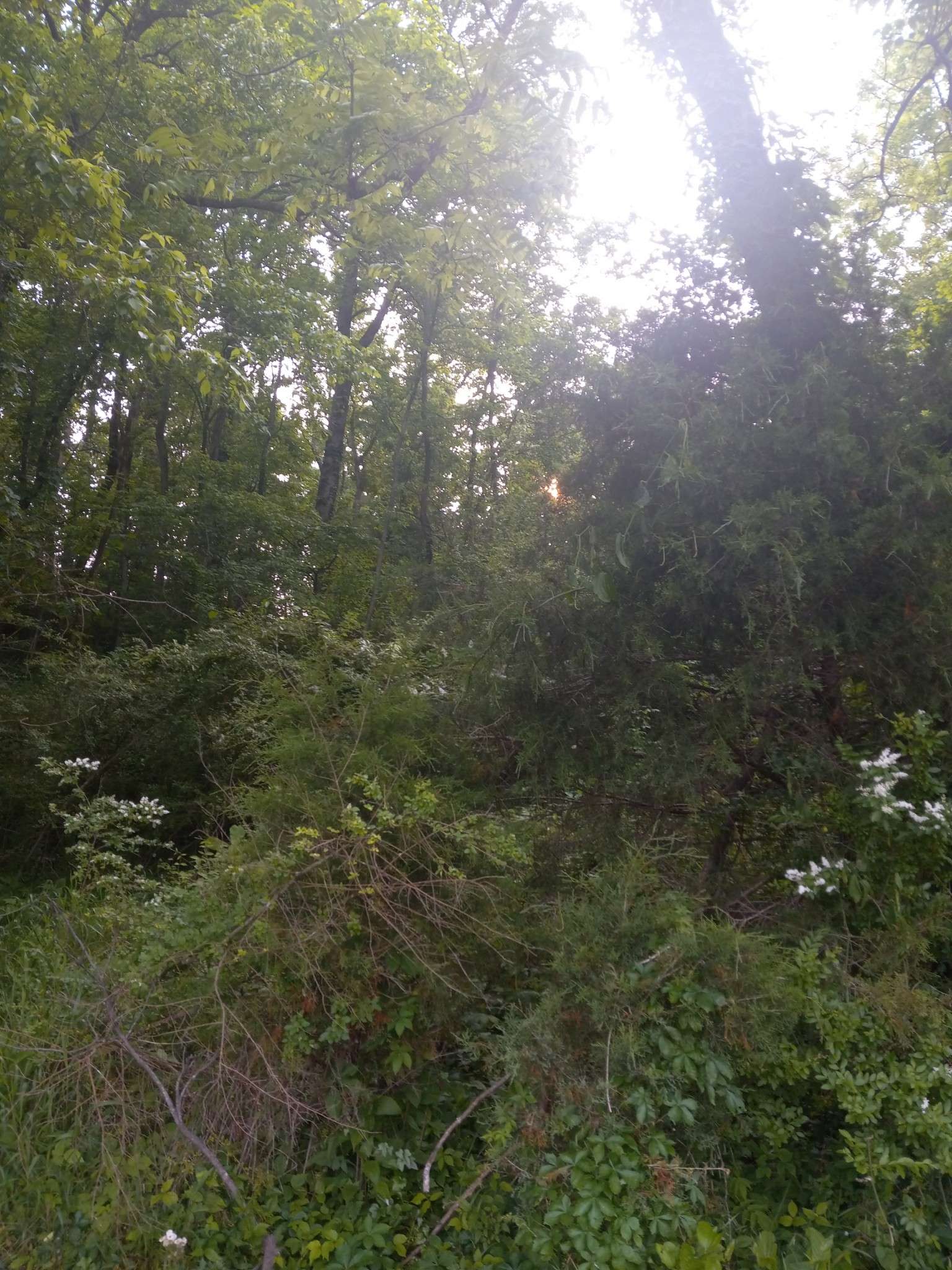 Pulaski, TN 38478,3140 Clear Creek Rd