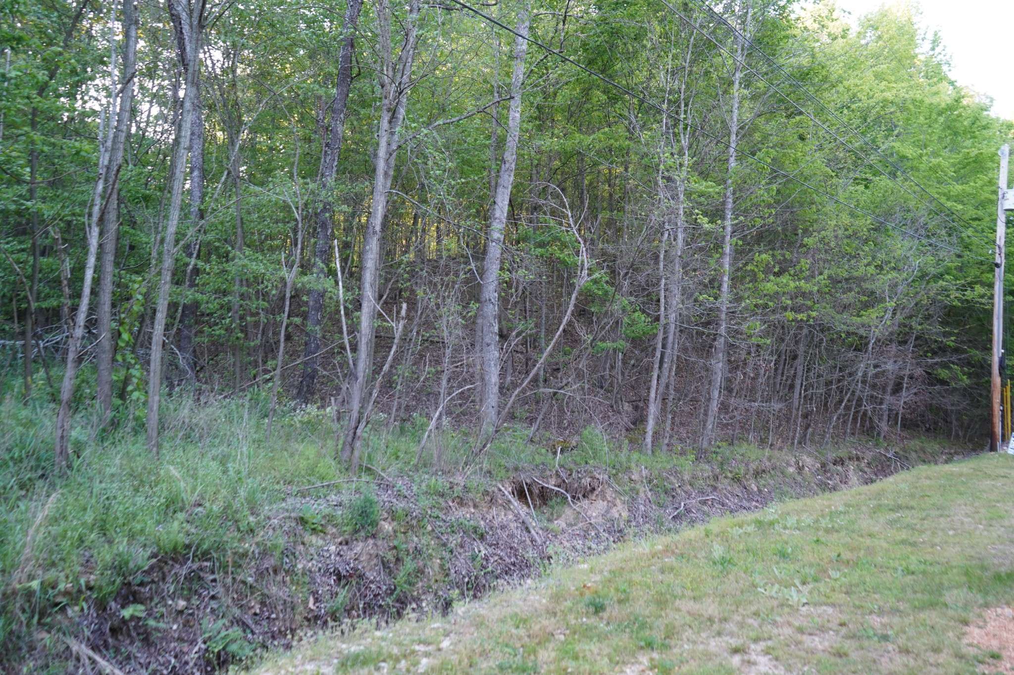 Dover, TN 37058,0 Blossom Drive