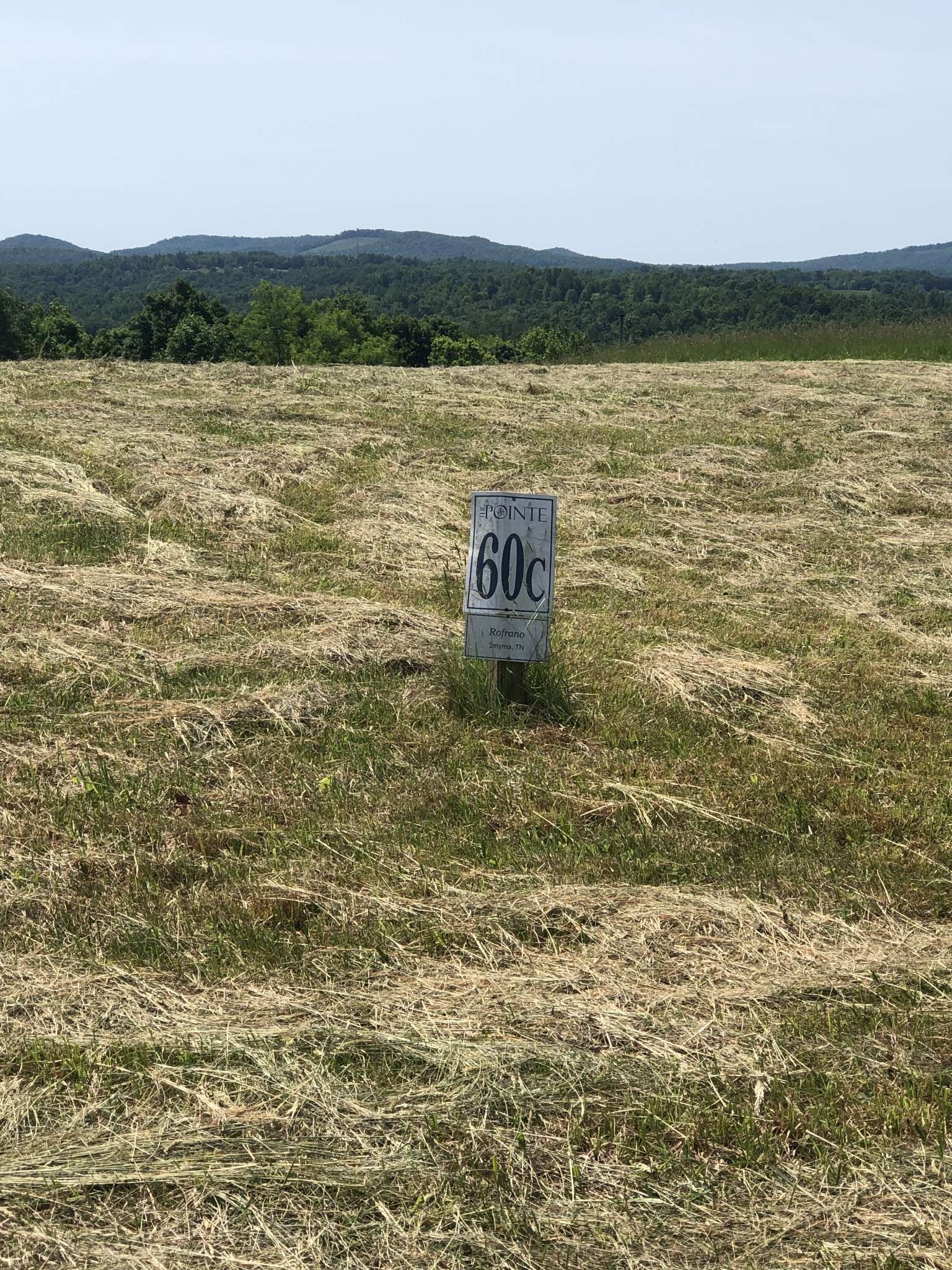 Hilham, TN 38568,60C Walleye Rd