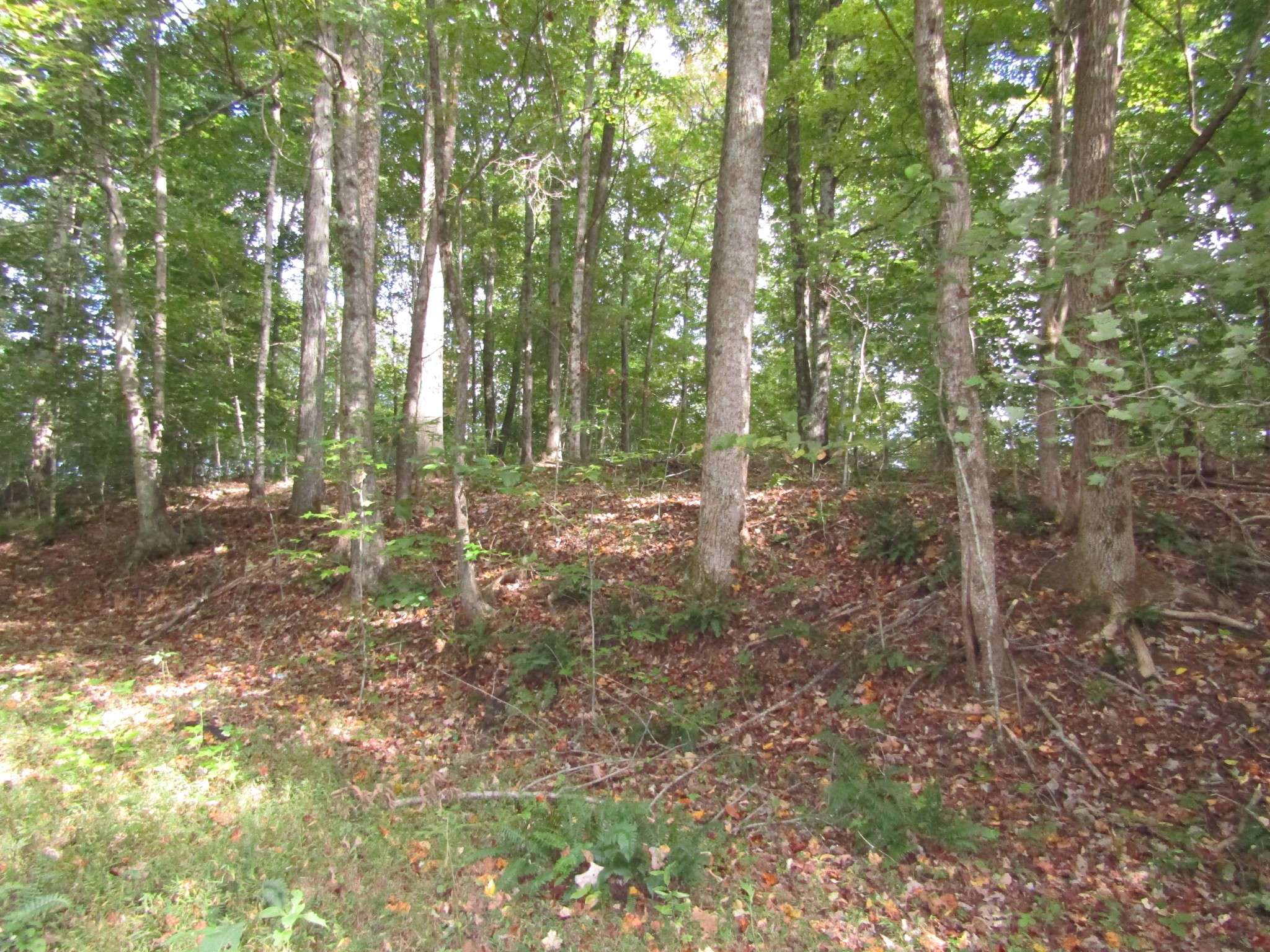 Gainesboro, TN 38562,0 Old Antioch Rd