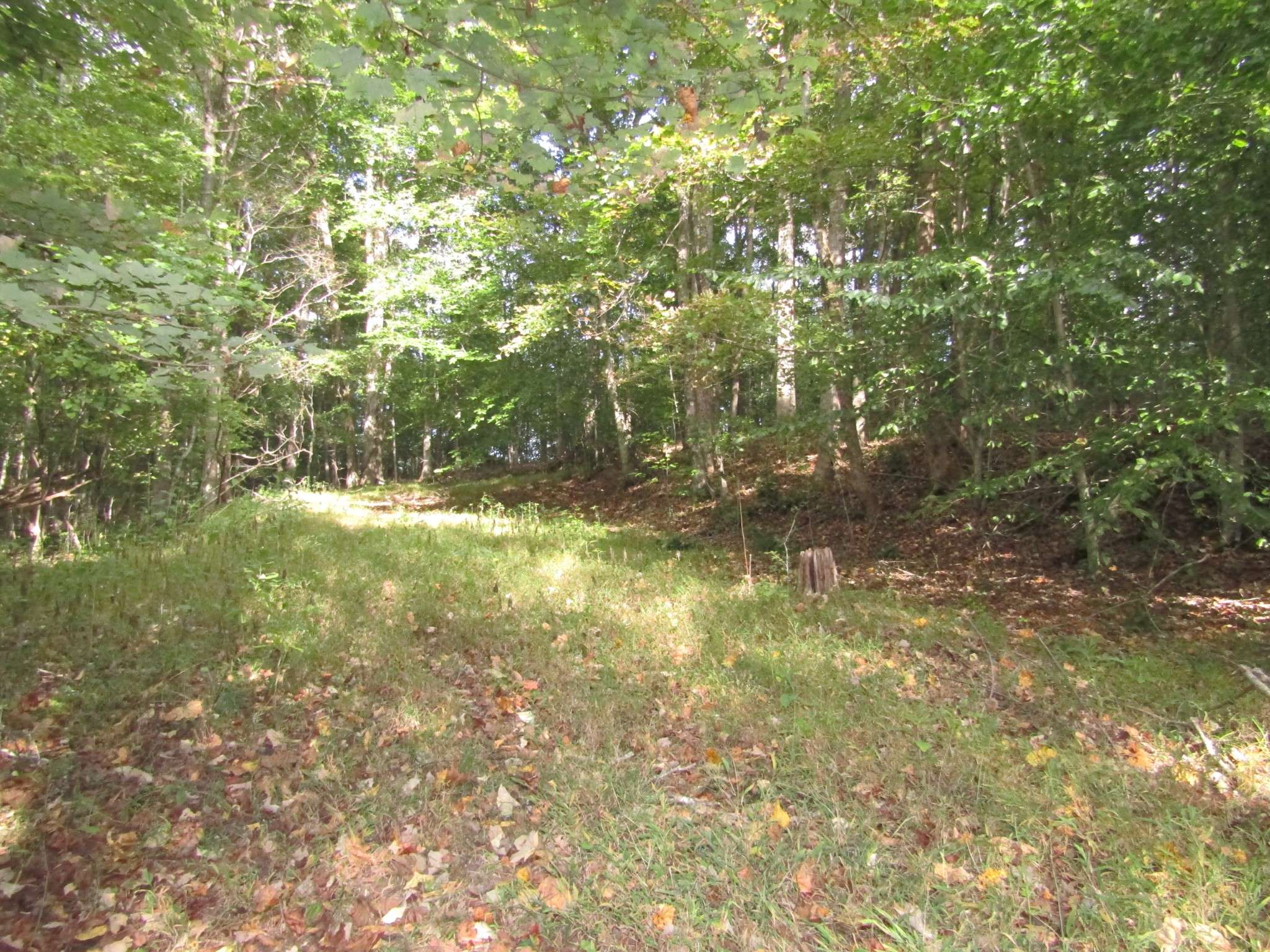 Gainesboro, TN 38562,0 Old Antioch Rd