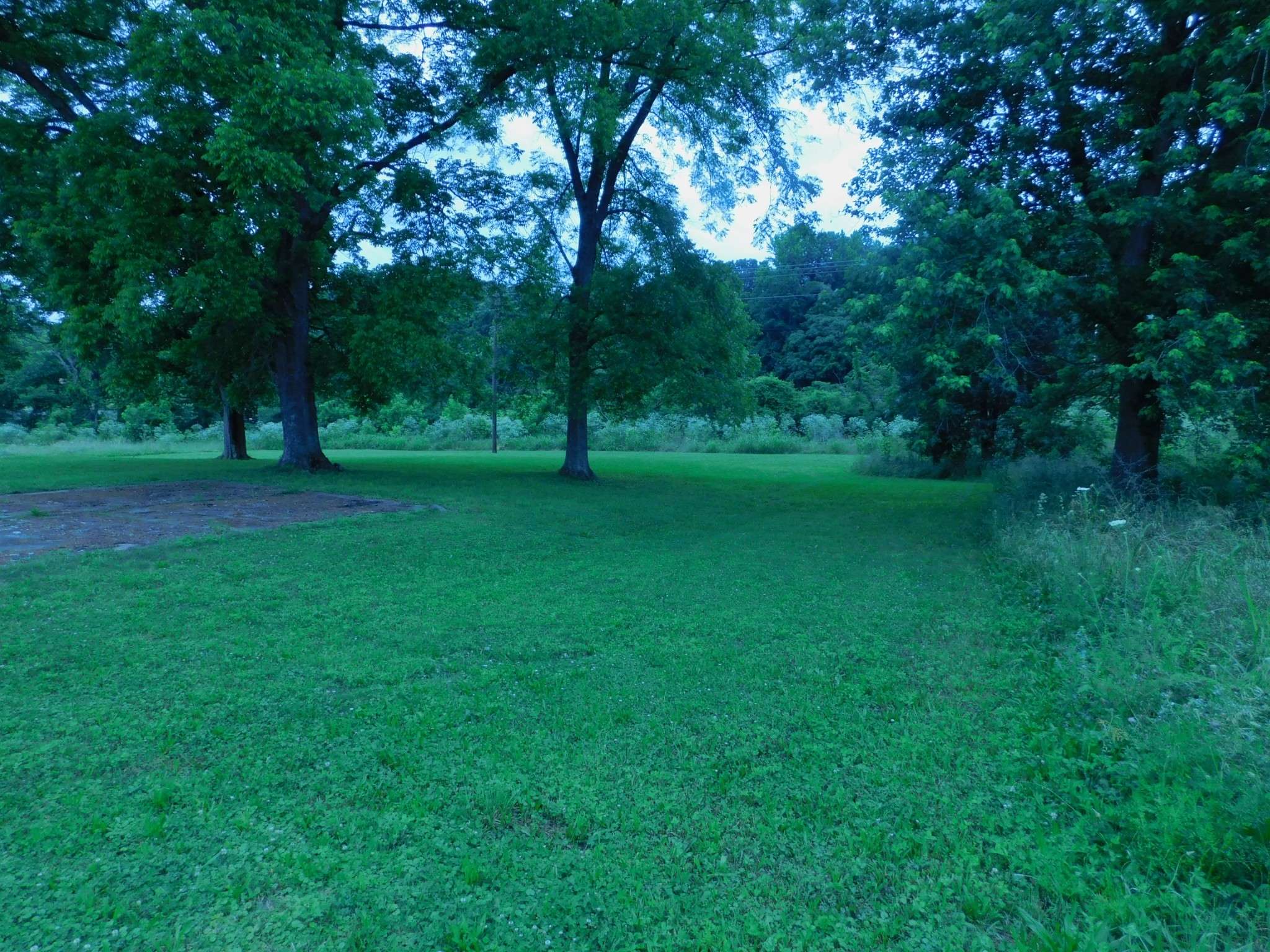 Waverly, TN 37185,314 N Maple Ave