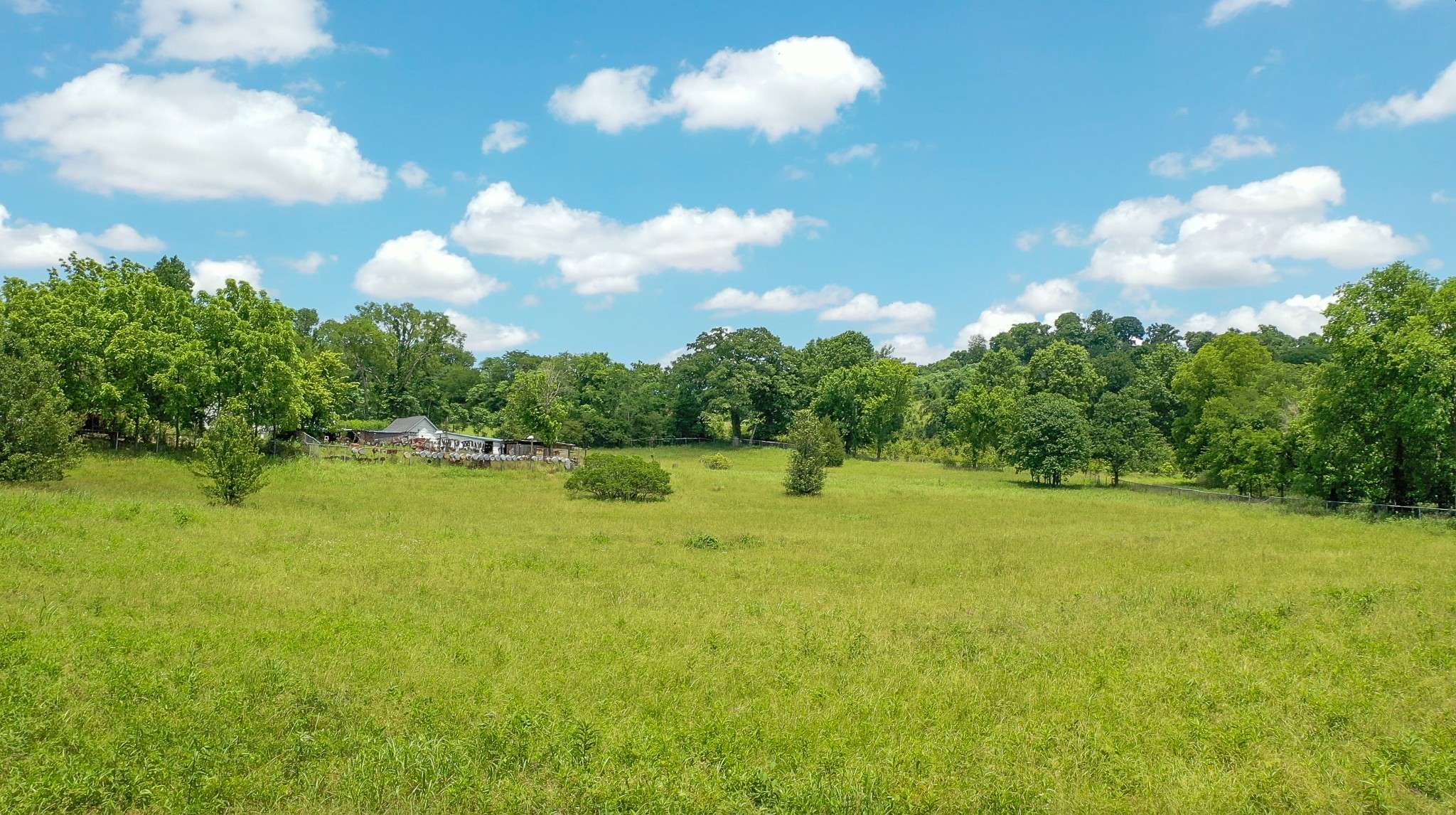 Columbia, TN 38401,1668 Nashville Hwy