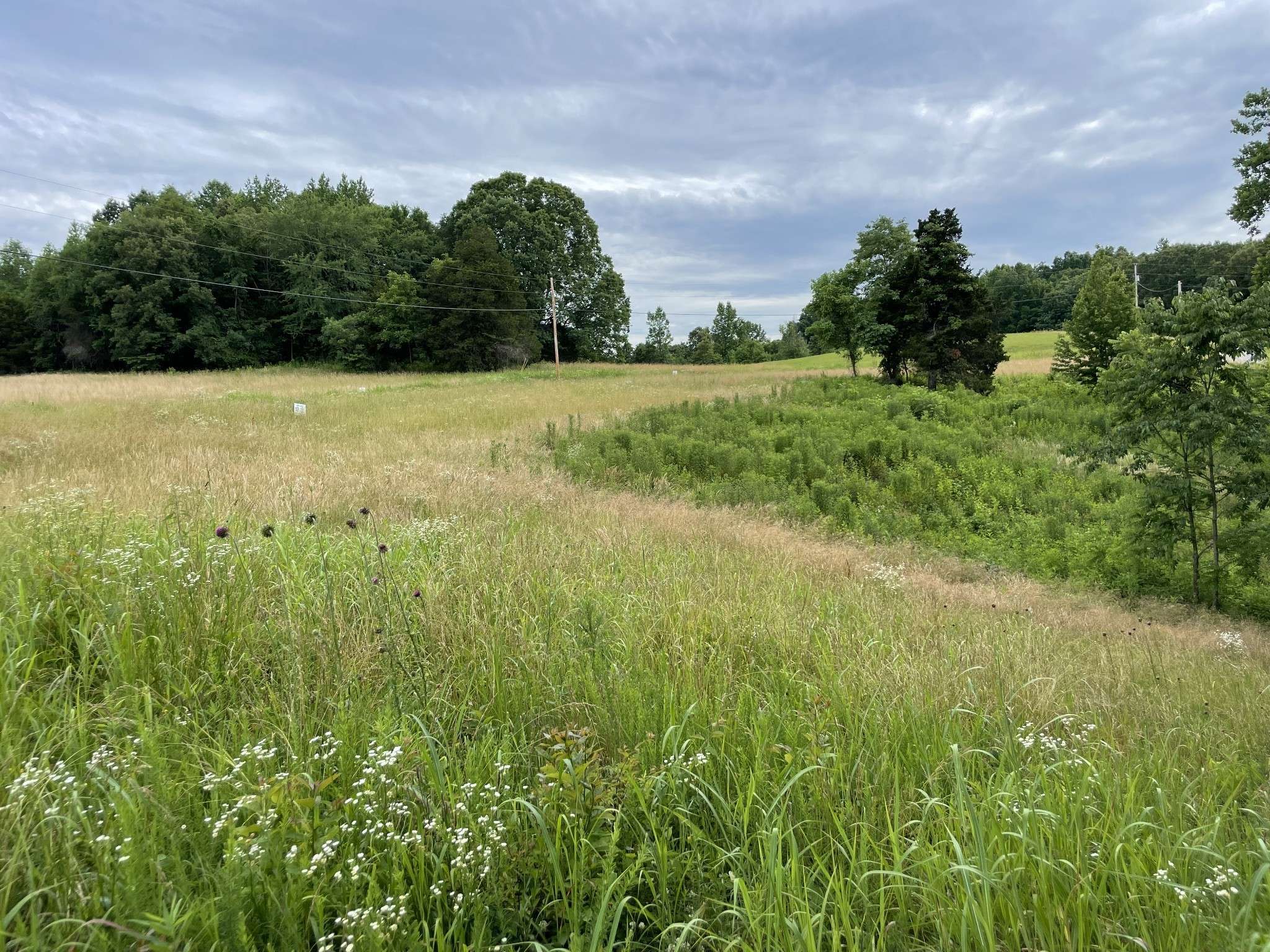 Smithville, TN 37166,0 Summer Breeze Dr