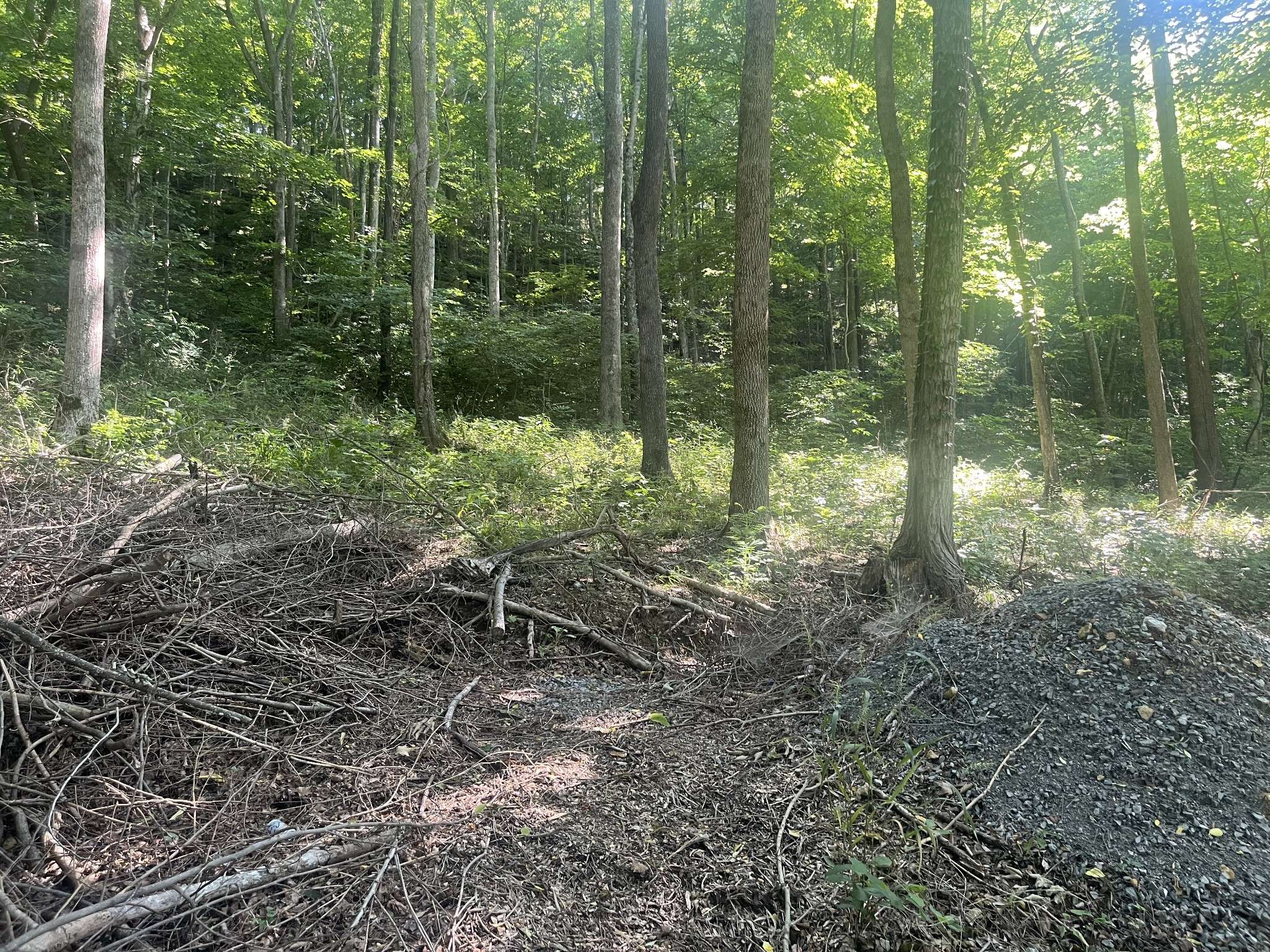 Smithville, TN 37166,1030 Shoreside Dr
