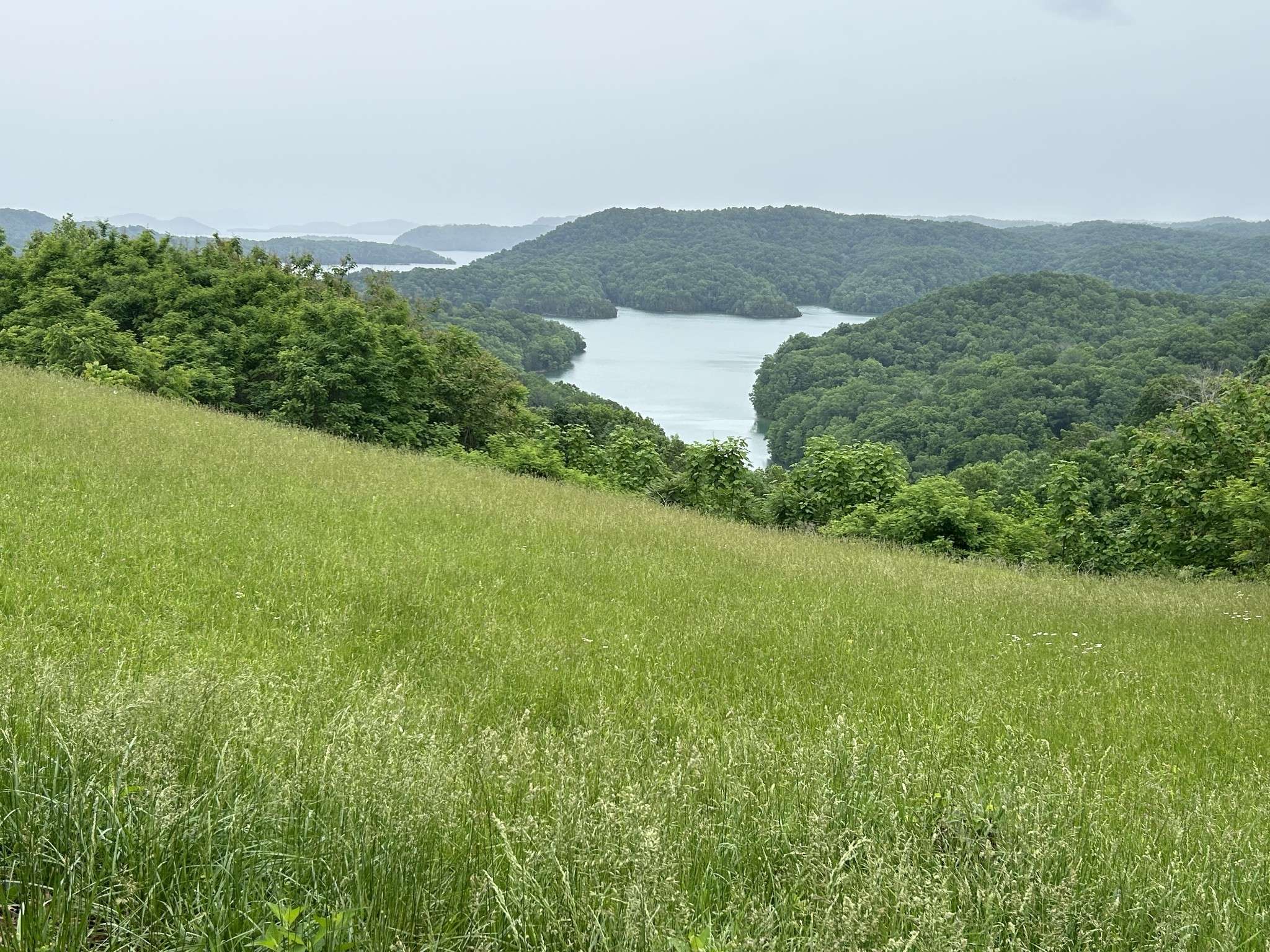 Hilham, TN 38568,31E Rock Fish Rd