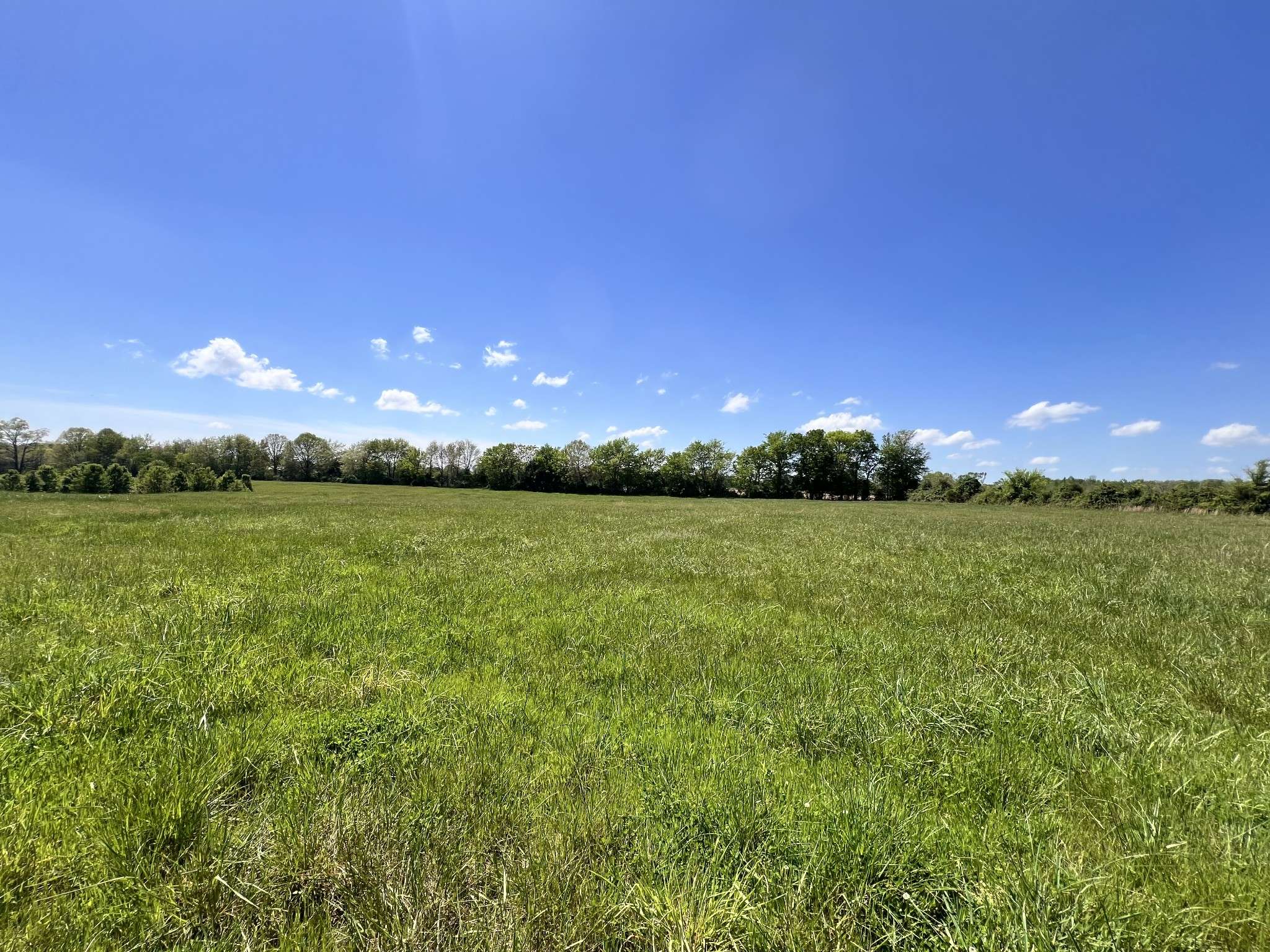 Belvidere, TN 37306,0 COX LN