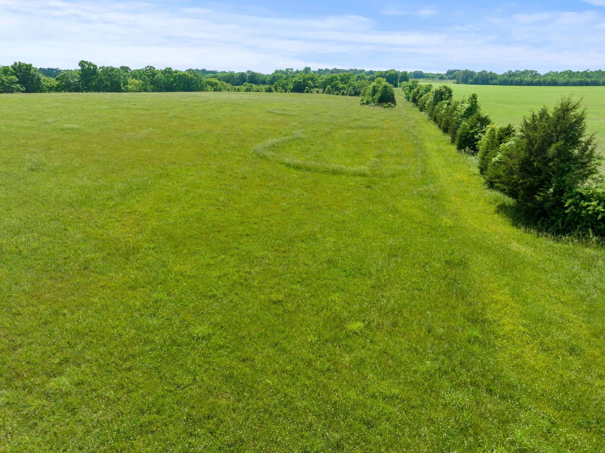 Belvidere, TN 37306,0 COX LN
