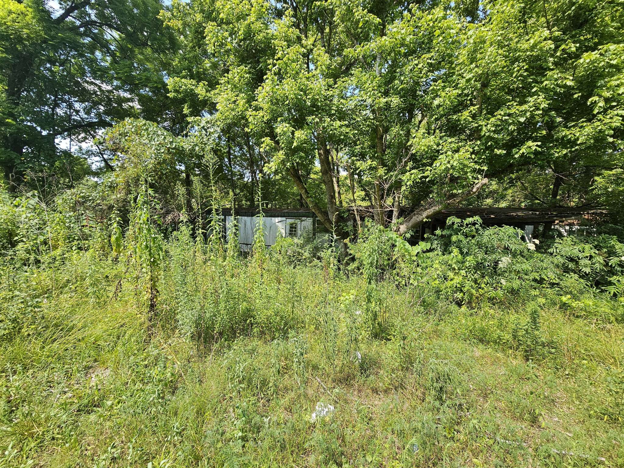 Parsons, TN 38363,351 Alabama Ave