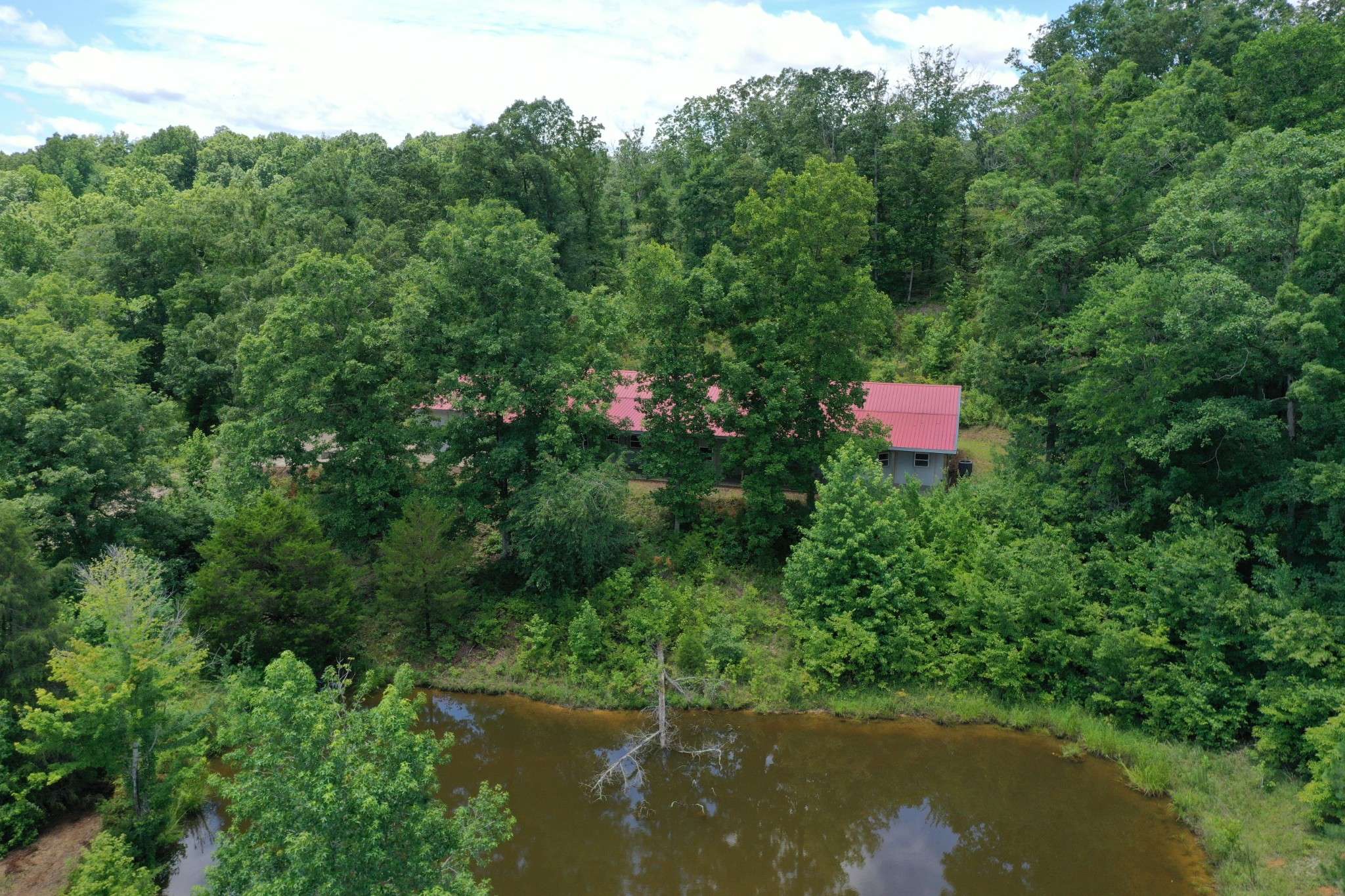 Waverly, TN 37185,1582 Hellsneck Ln