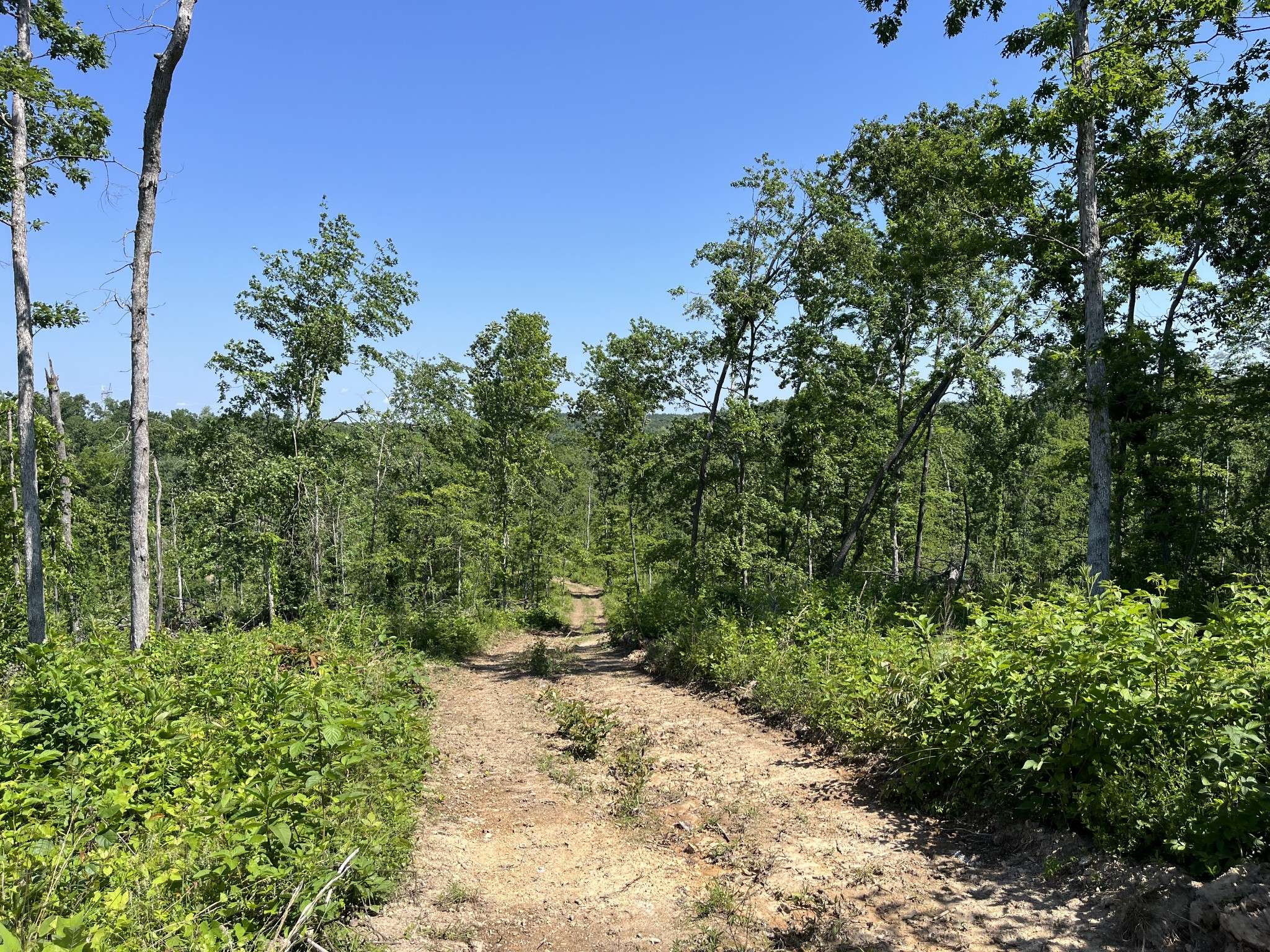 Waverly, TN 37185,0 Trace Creek Rd #W