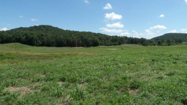 Rock Island, TN 38581,0 Ranchside Court