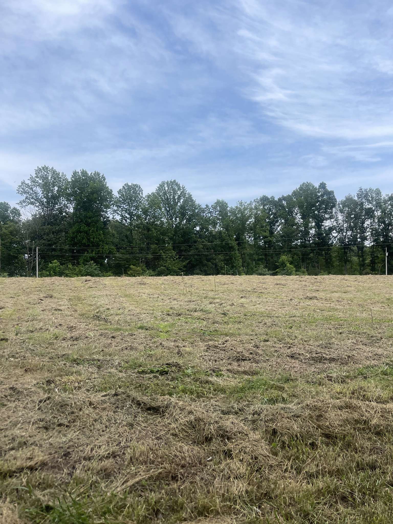 Red Boiling Springs, TN 37150,0 Magnolia Lane