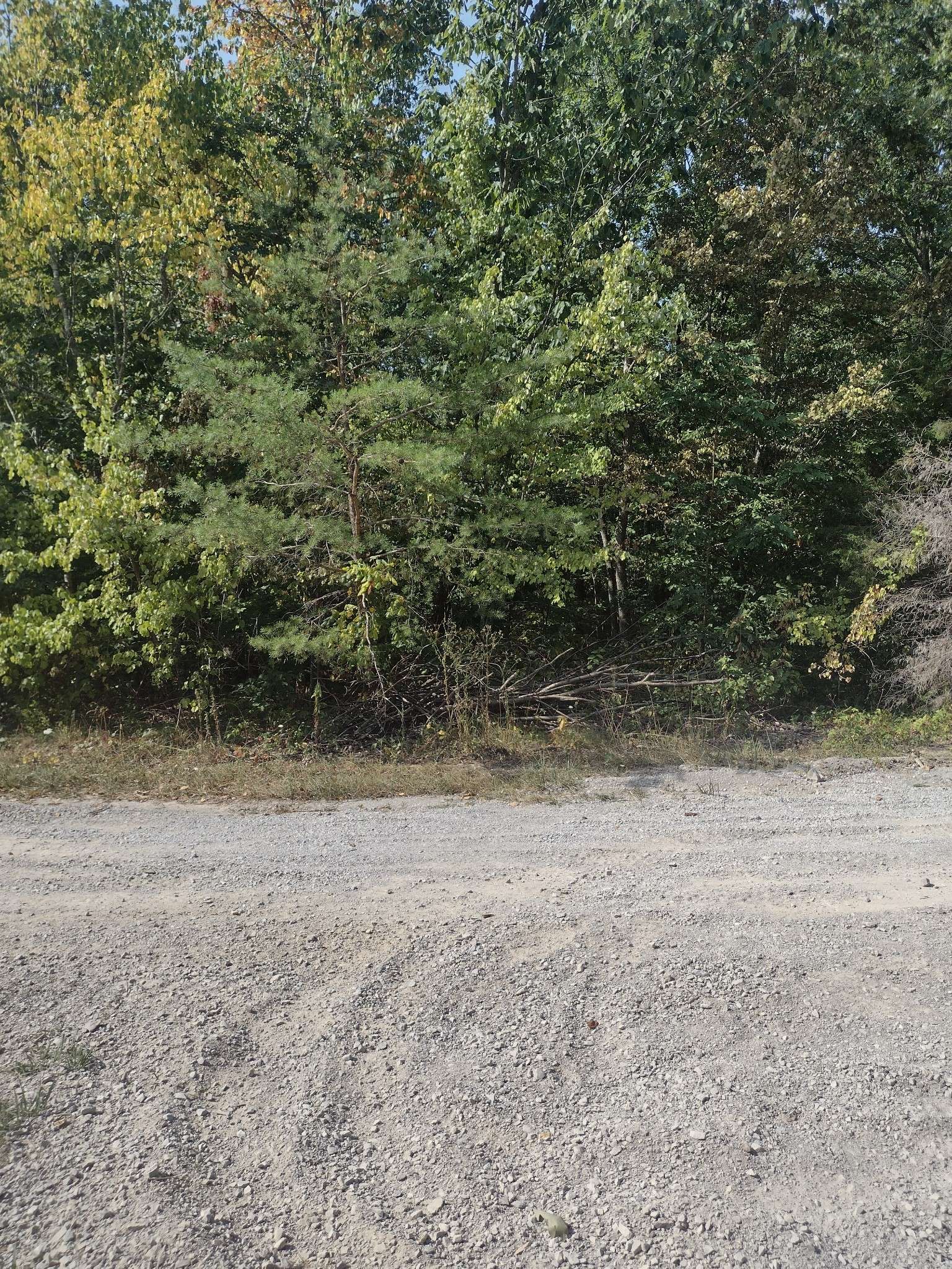 Altamont, TN 37301,0 Myers Rd