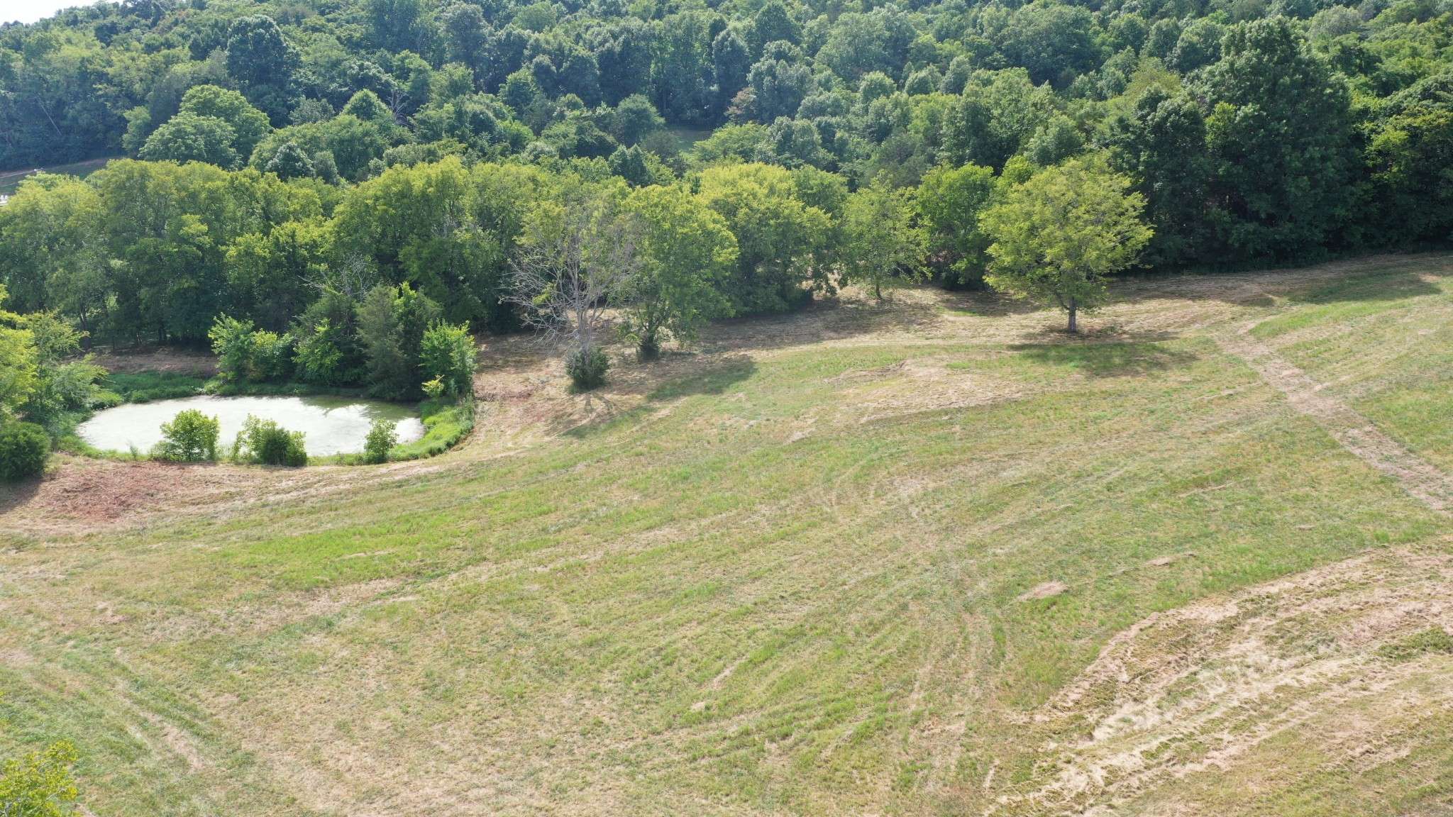 Cornersville, TN 37047,0 Cherry Corner Rd
