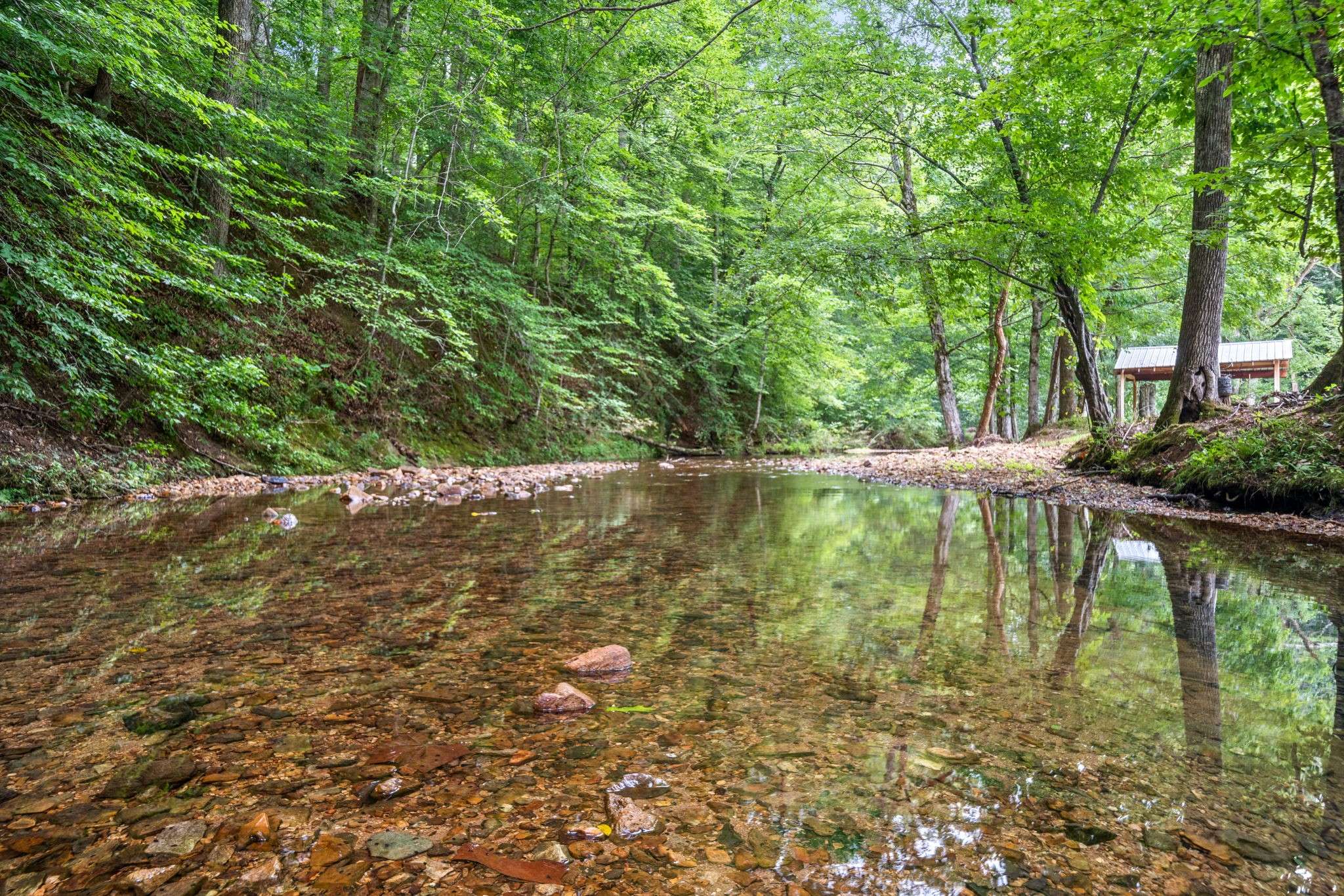 Cumberland City, TN 37050,870 Elk Creek Road