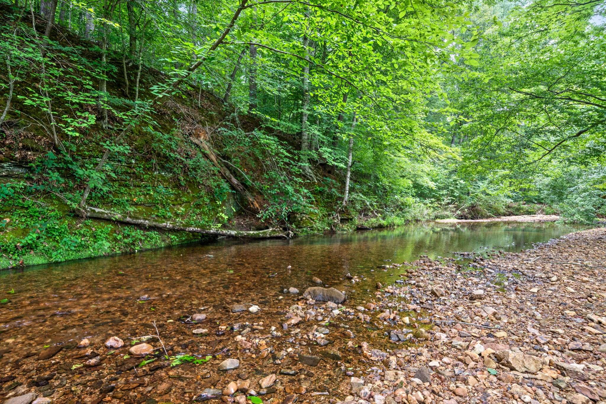 Cumberland City, TN 37050,870 Elk Creek Road