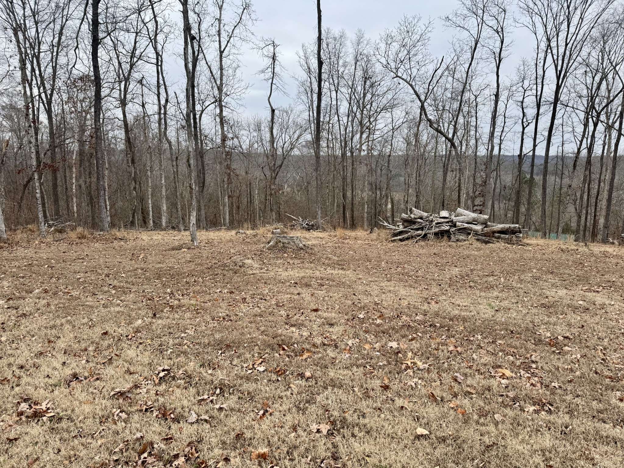 Stewart, TN 37175,372 Cheree Loop