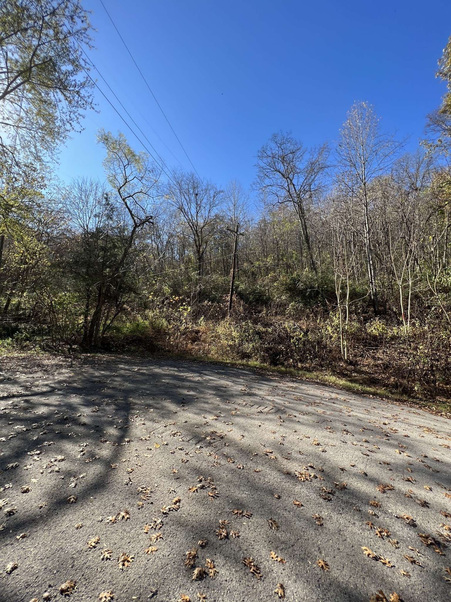 Whites Creek, TN 37189,4184 Creek Trail Dr