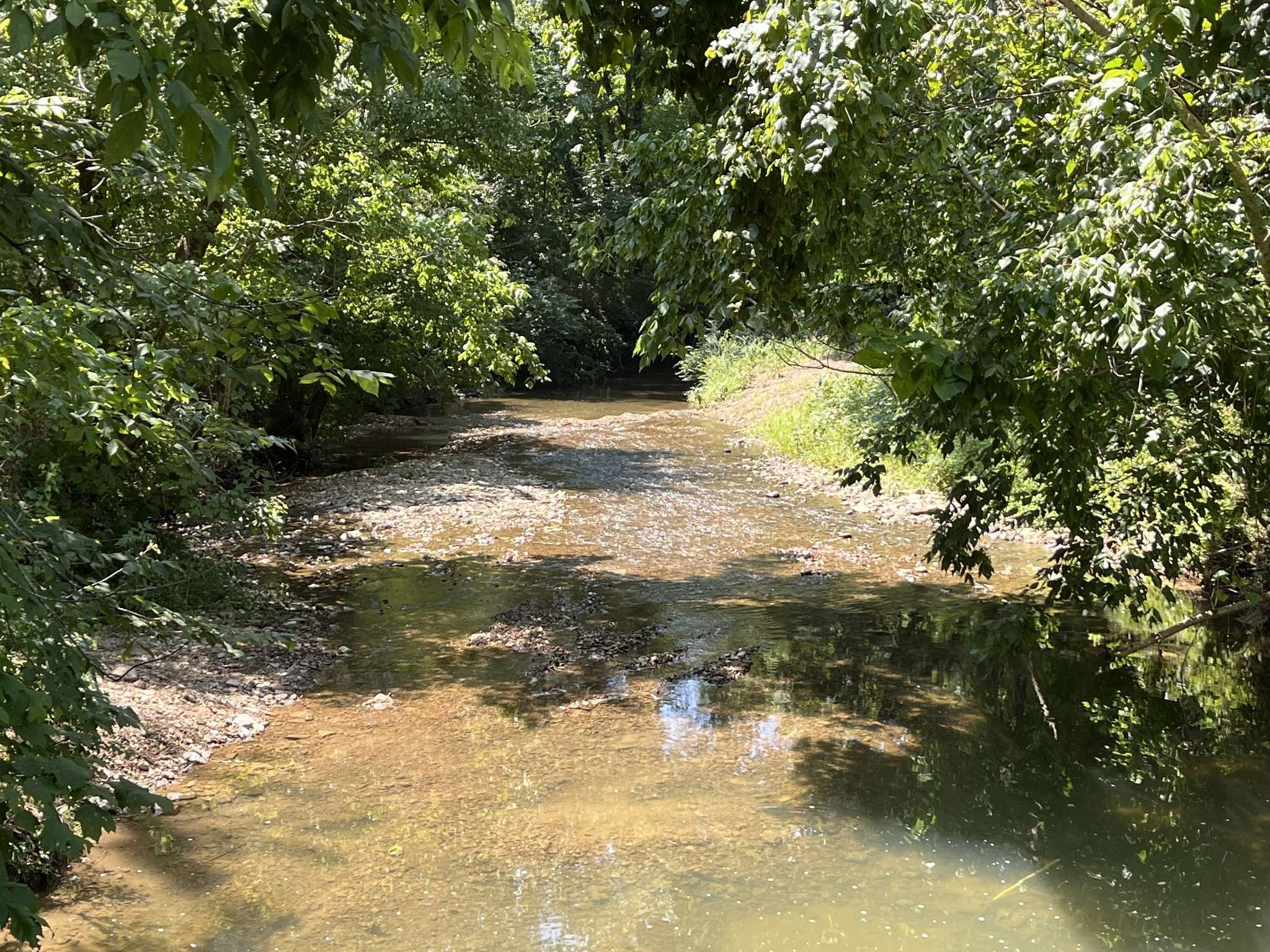 College Grove, TN 37046,4929B Bethesda Duplex Rd