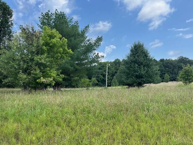 Portland, TN 37148,225 Running Meadows Rd