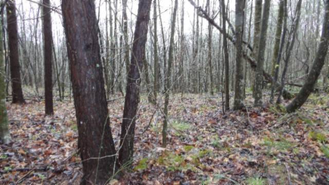 Moss, TN 38575,0 Denton Rd
