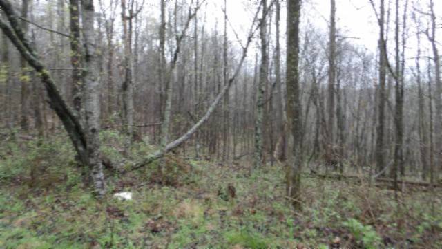Moss, TN 38575,0 Denton Rd