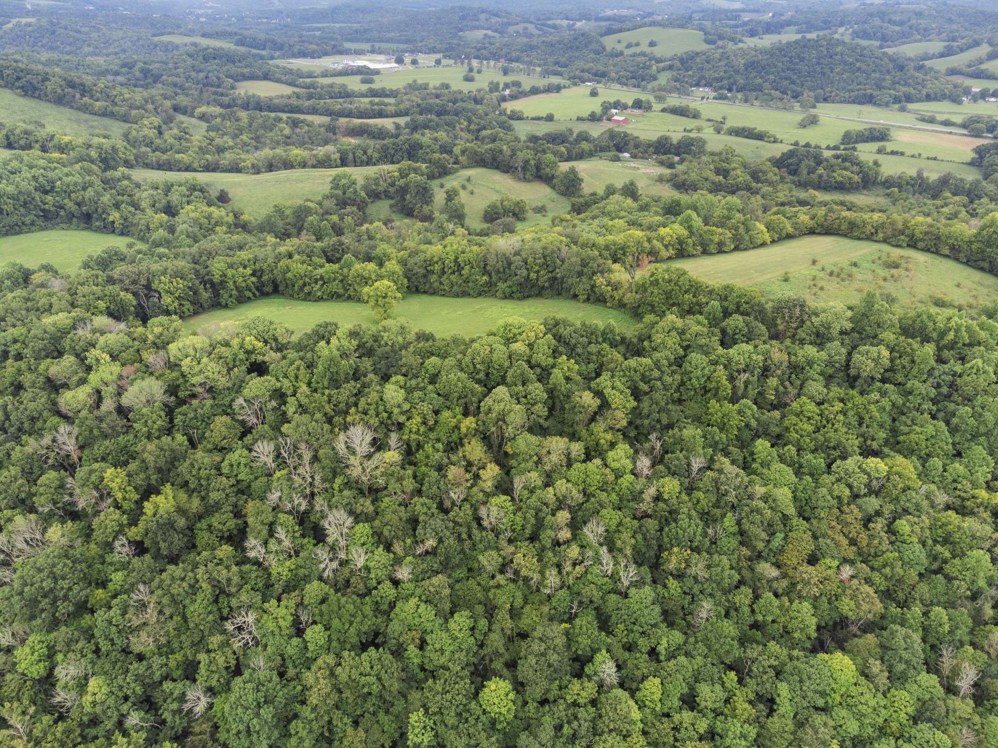 Lynchburg, TN 37352,0 Cobb Hollow Rd