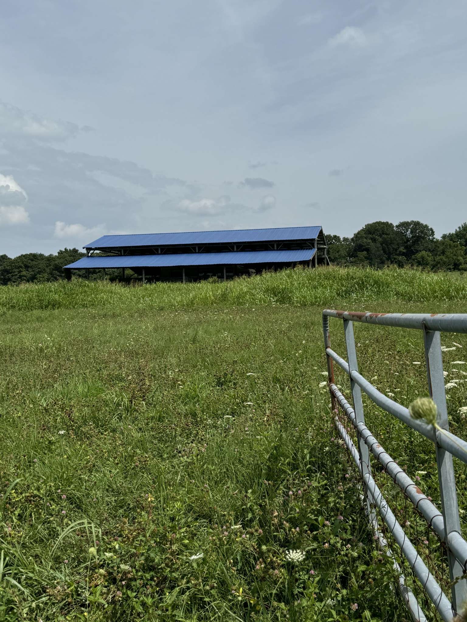 Westmoreland, TN 37186,1322 Hershal Lyles road
