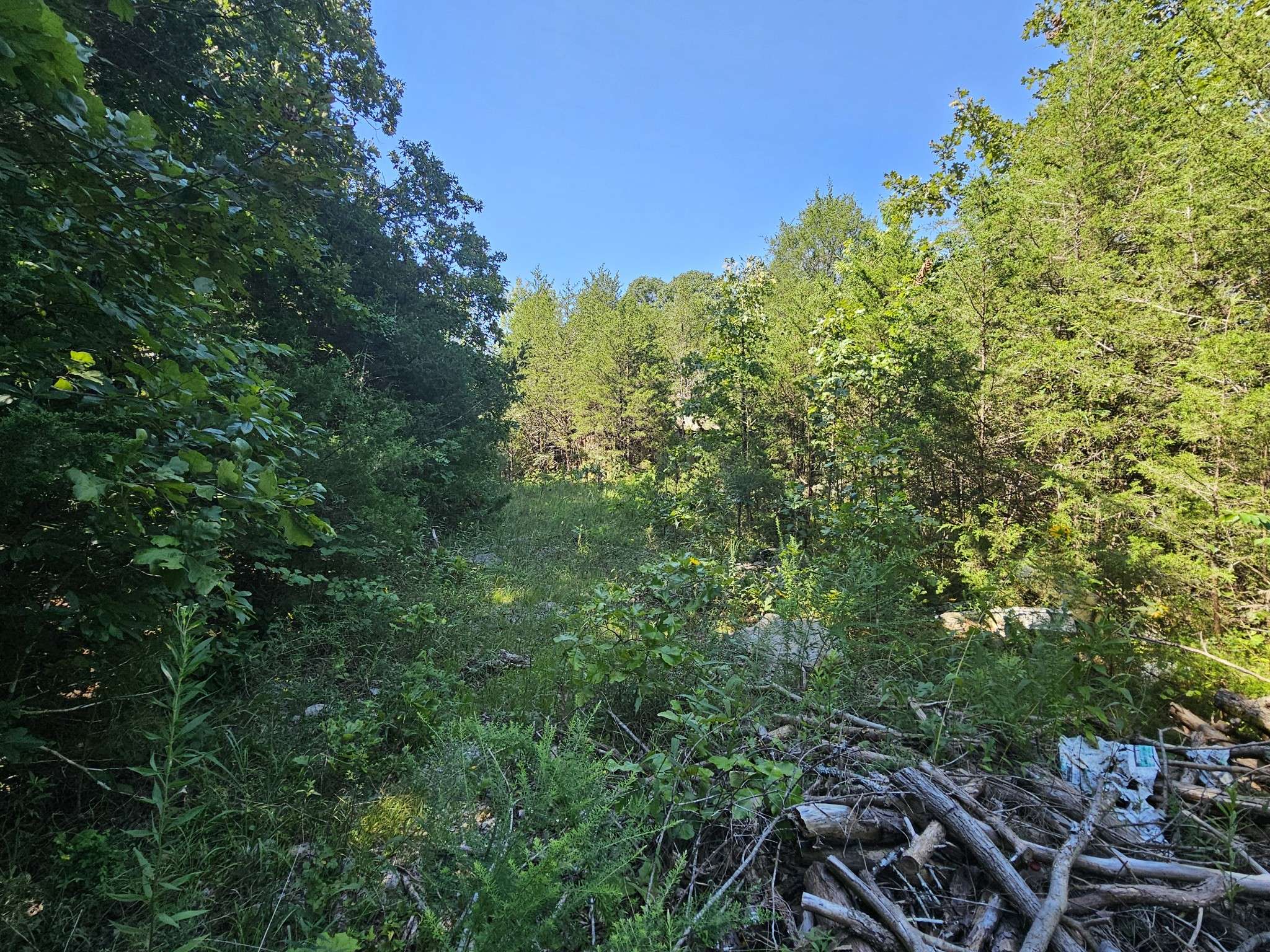 Mount Juliet, TN 37122,0 Underwood Rd
