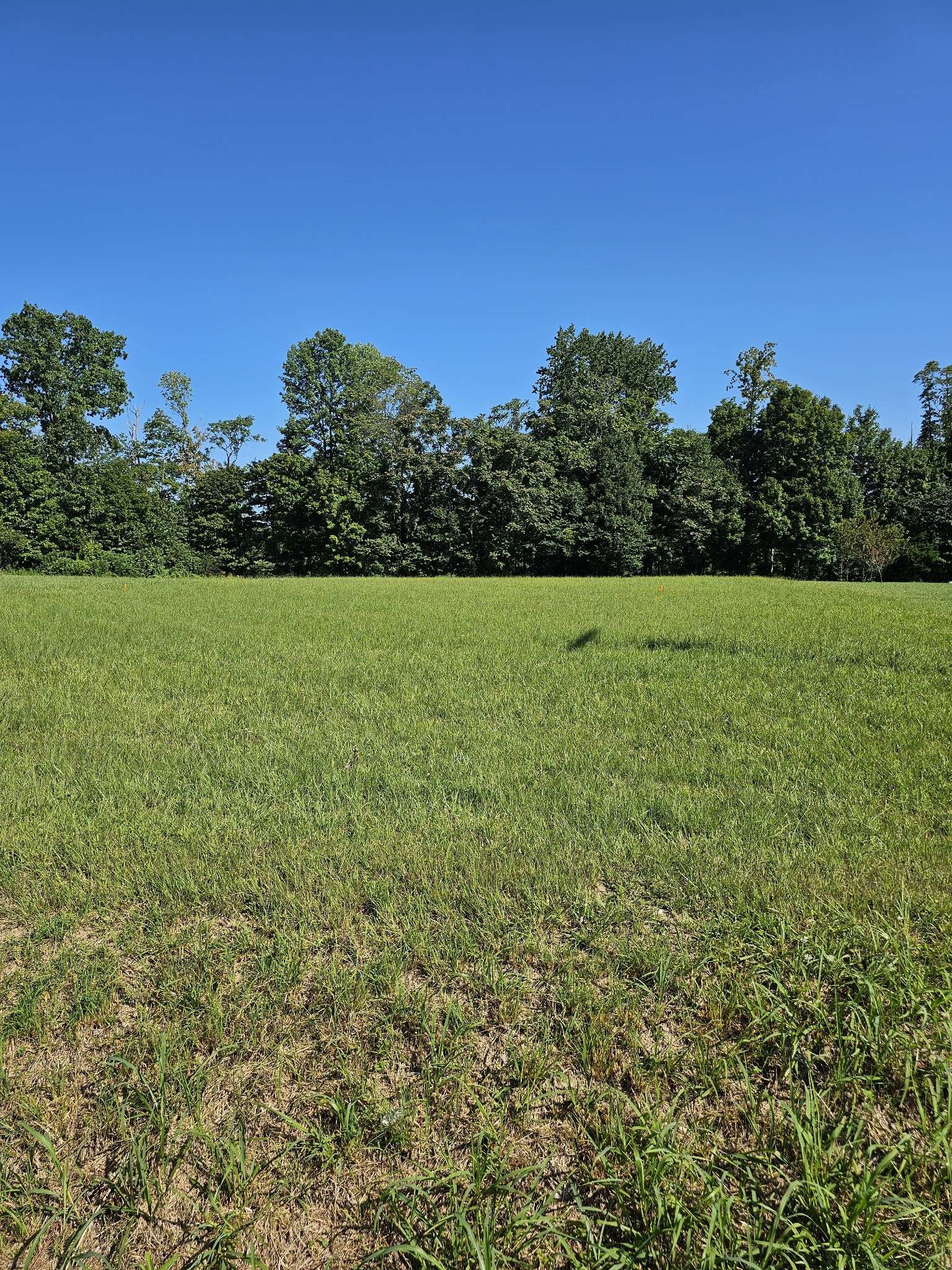 Lafayette, TN 37083,0 Pointe Ln