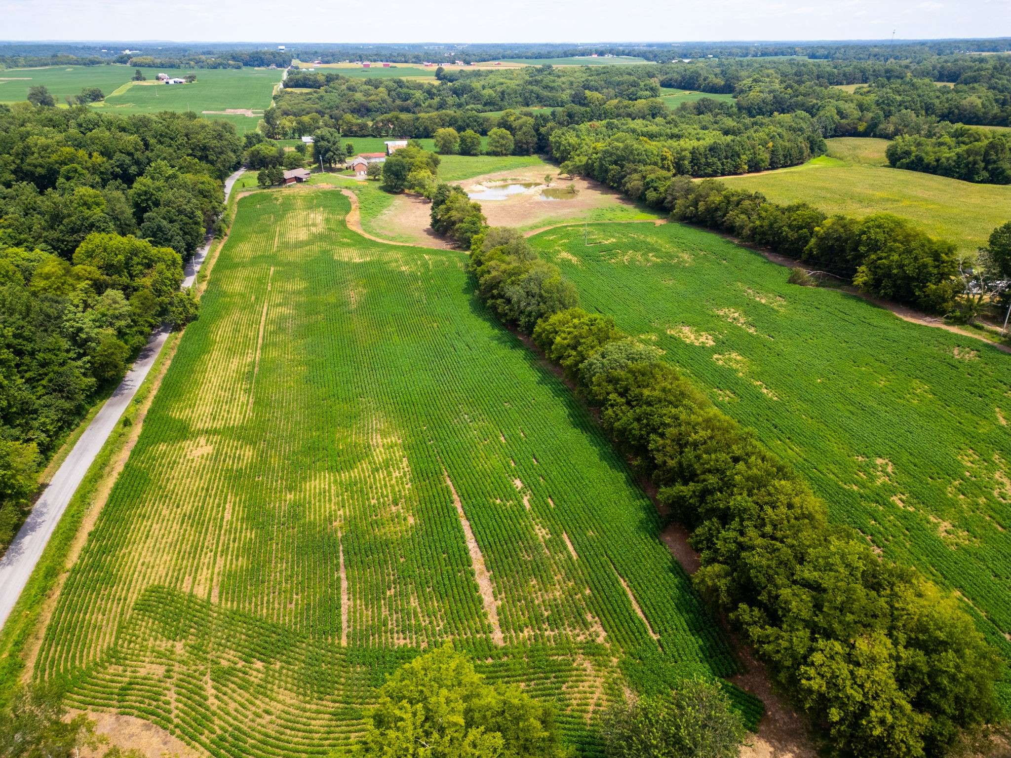 Adams, TN 37010,5016 Caney Sink Rd