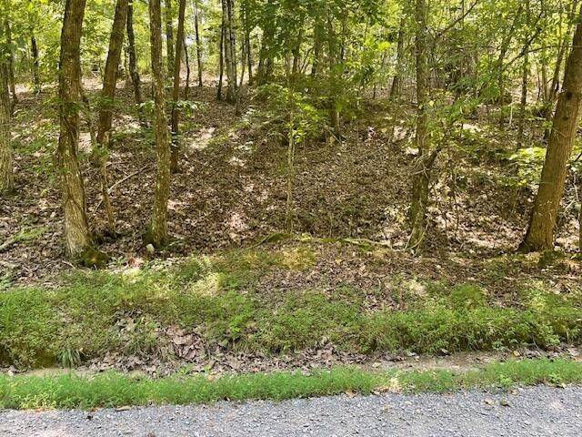 Spring City, TN 37381,255 Maple Drive