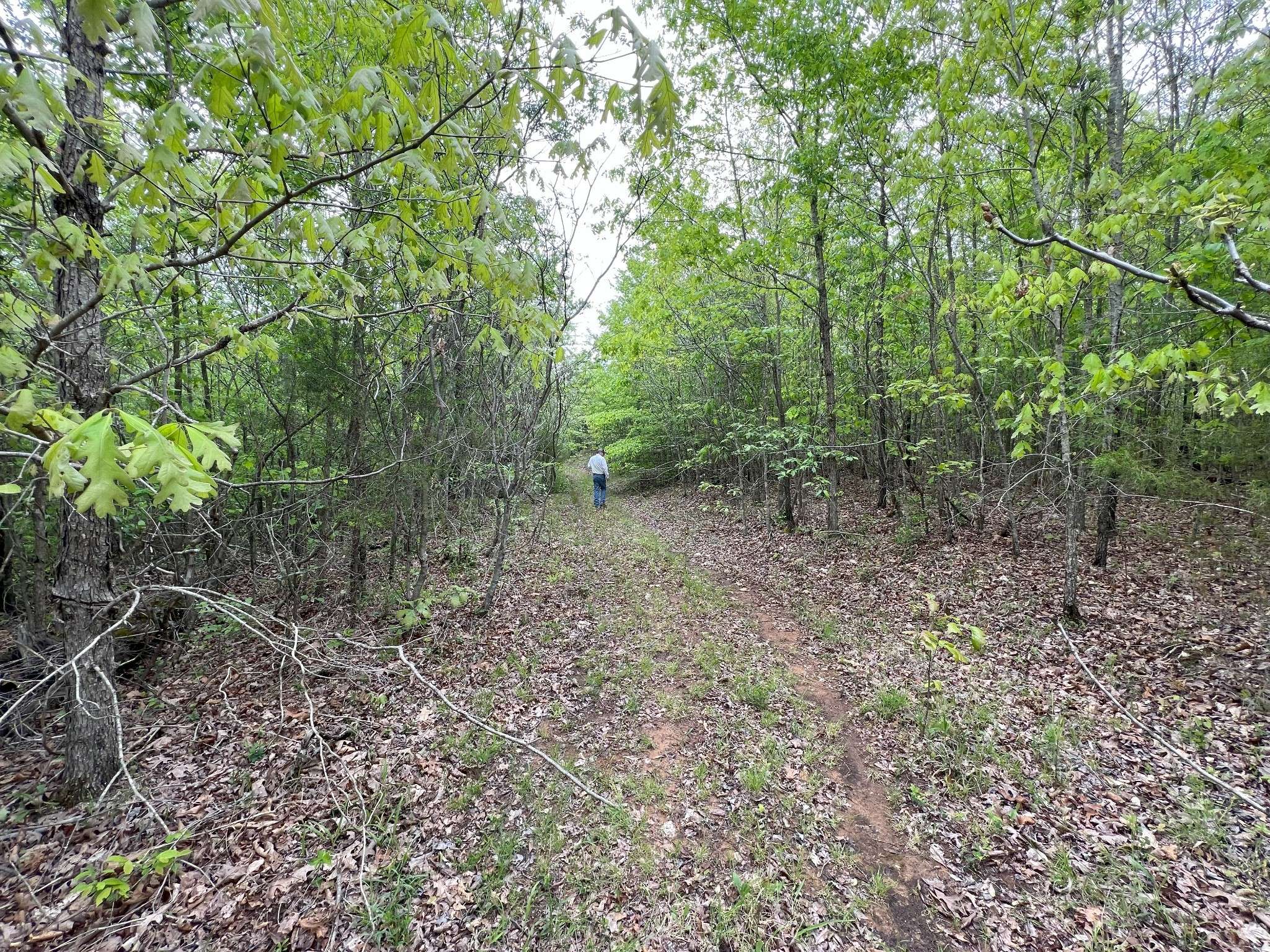 Pocahontas, TN 38061,0 Hwy 57