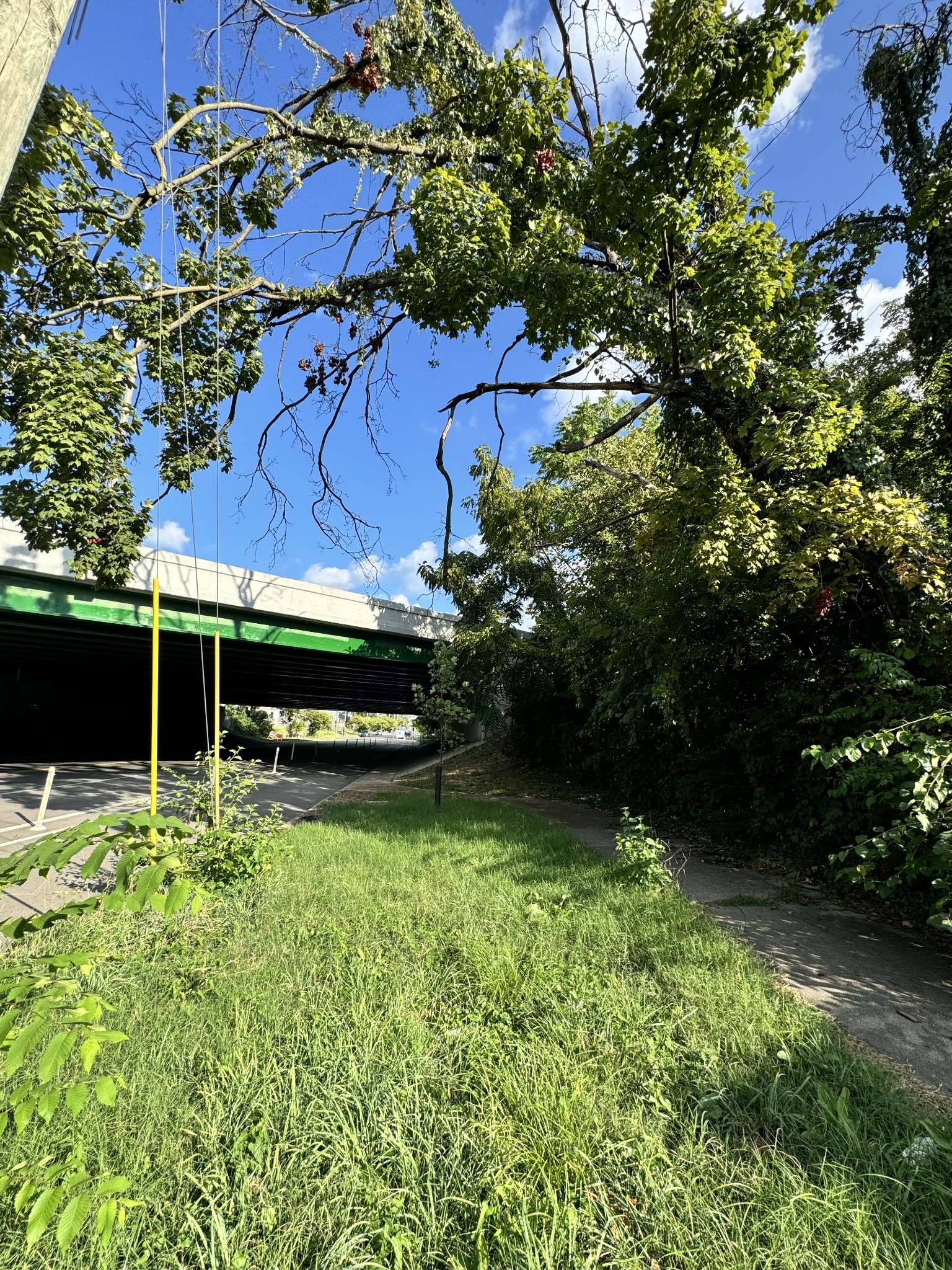 Nashville, TN 37208,1613 Arthur Ave