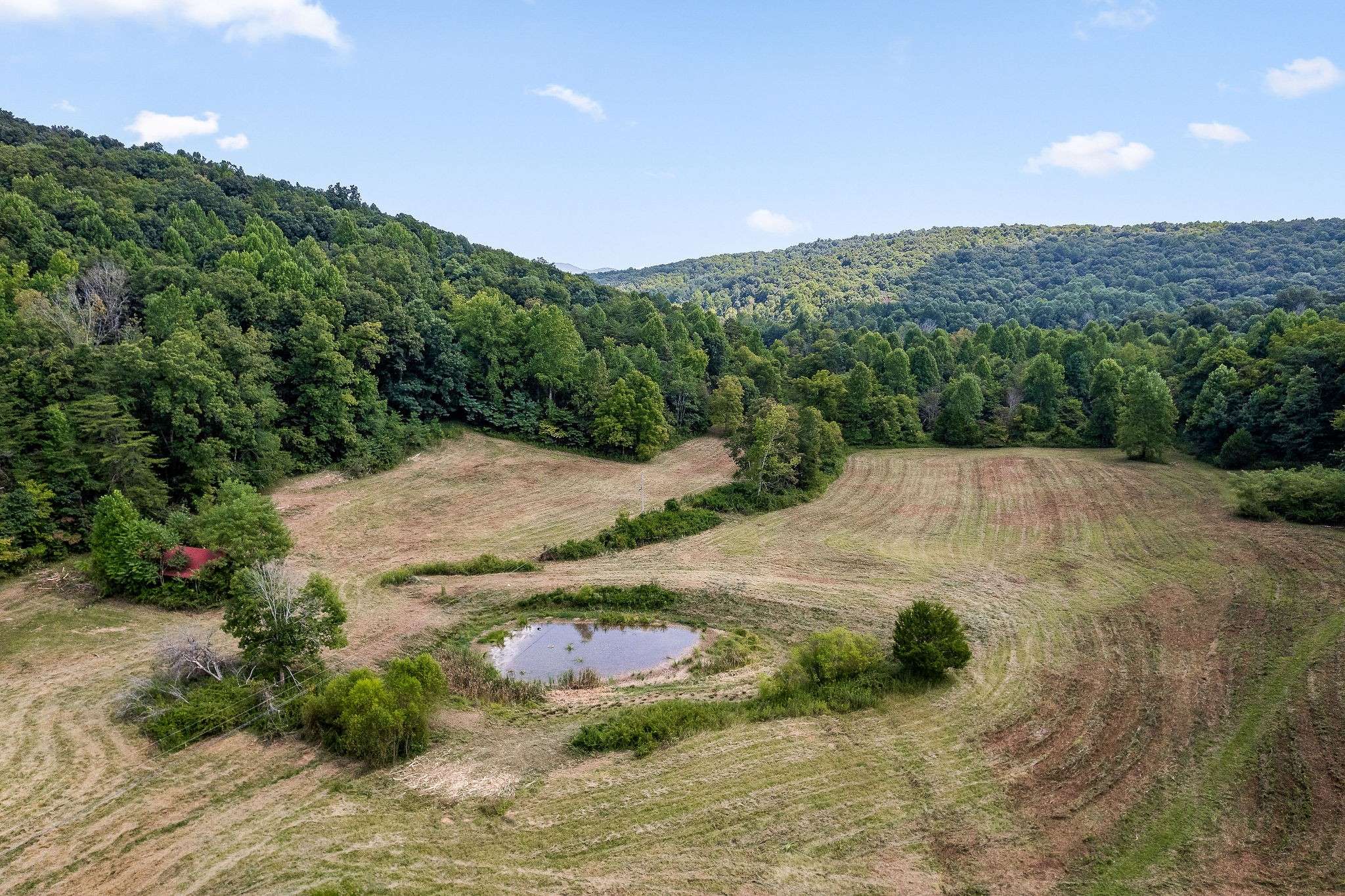 Monterey, TN 38574,2641 Stamps Shady Grove Rd