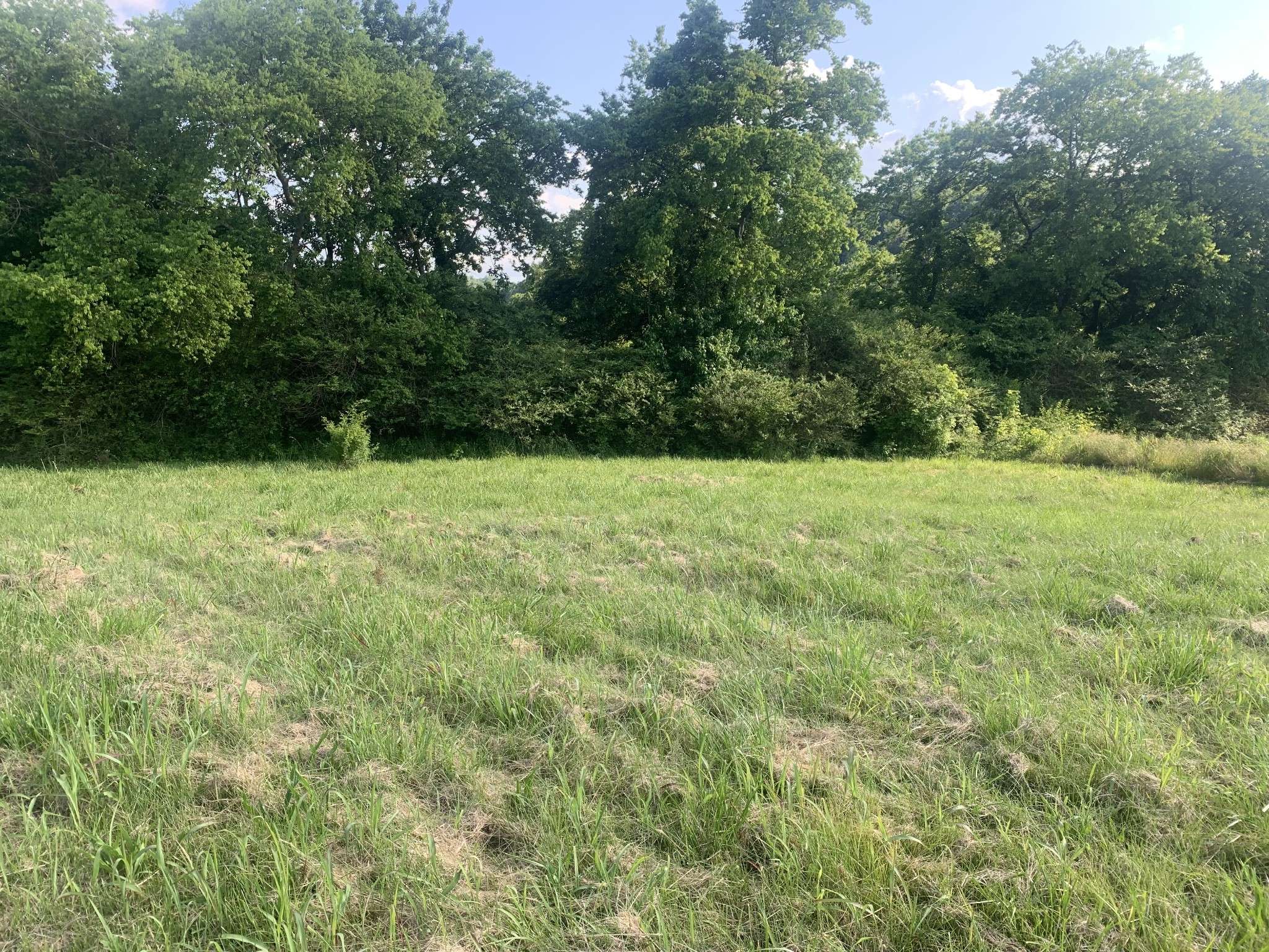 Mount Pleasant, TN 38474,0 Johnson Hill Rd