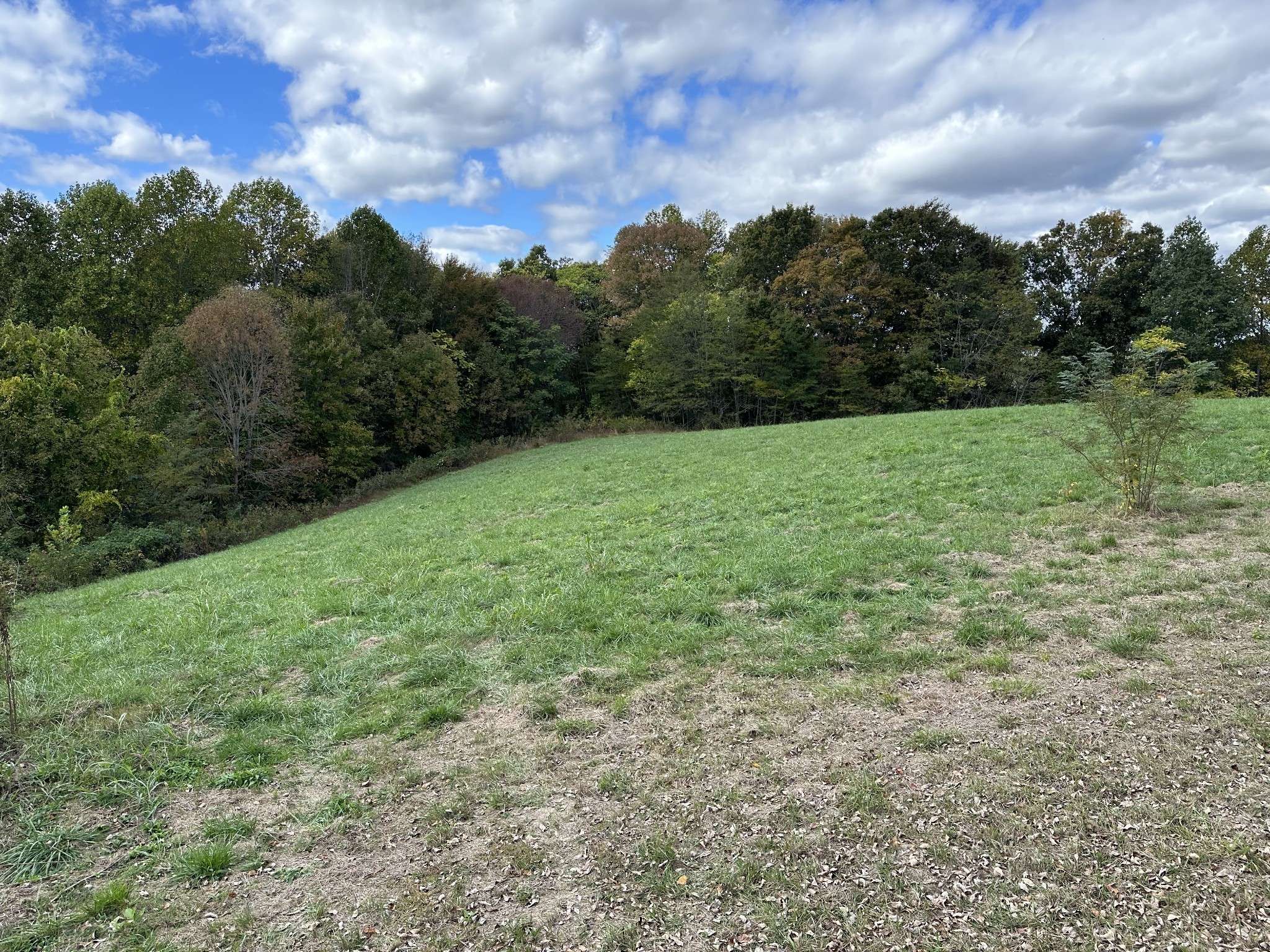 Baxter, TN 38544,0 Lanis Rd