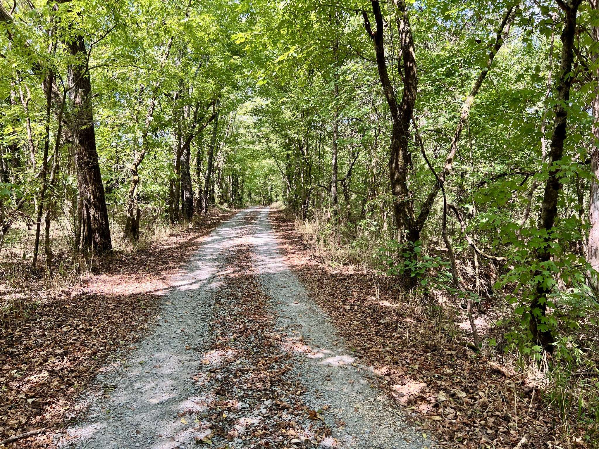 Dellrose, TN 38453,6 McBurg Dellrose Rd