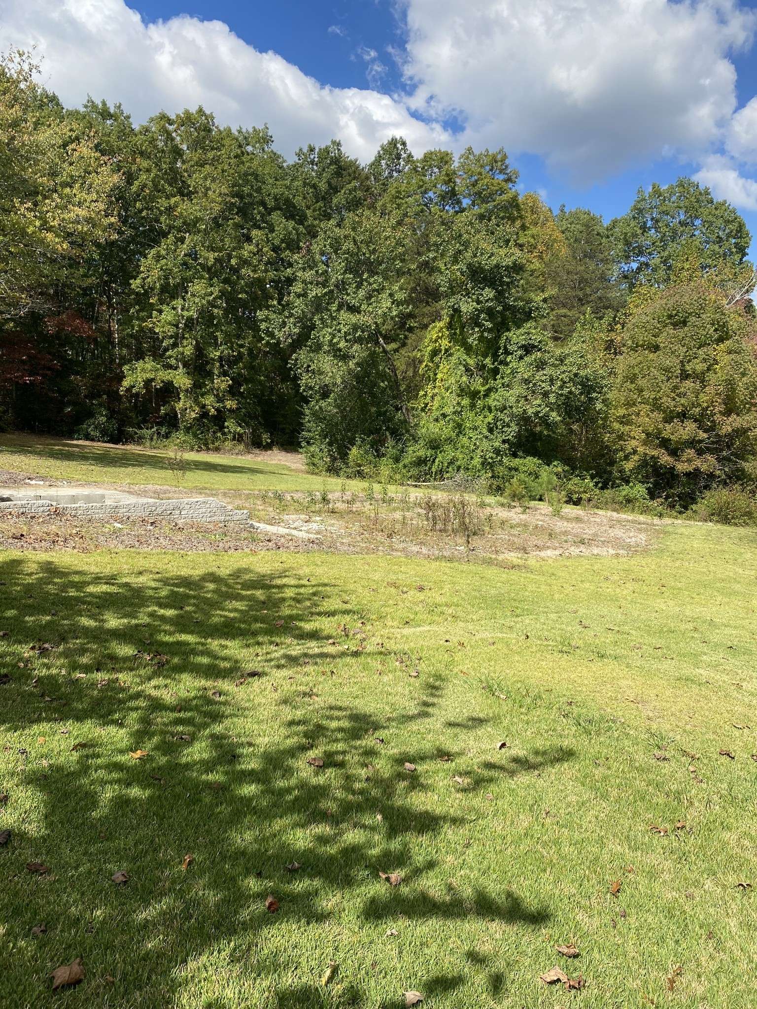 Altamont, TN 37301,544 Main St