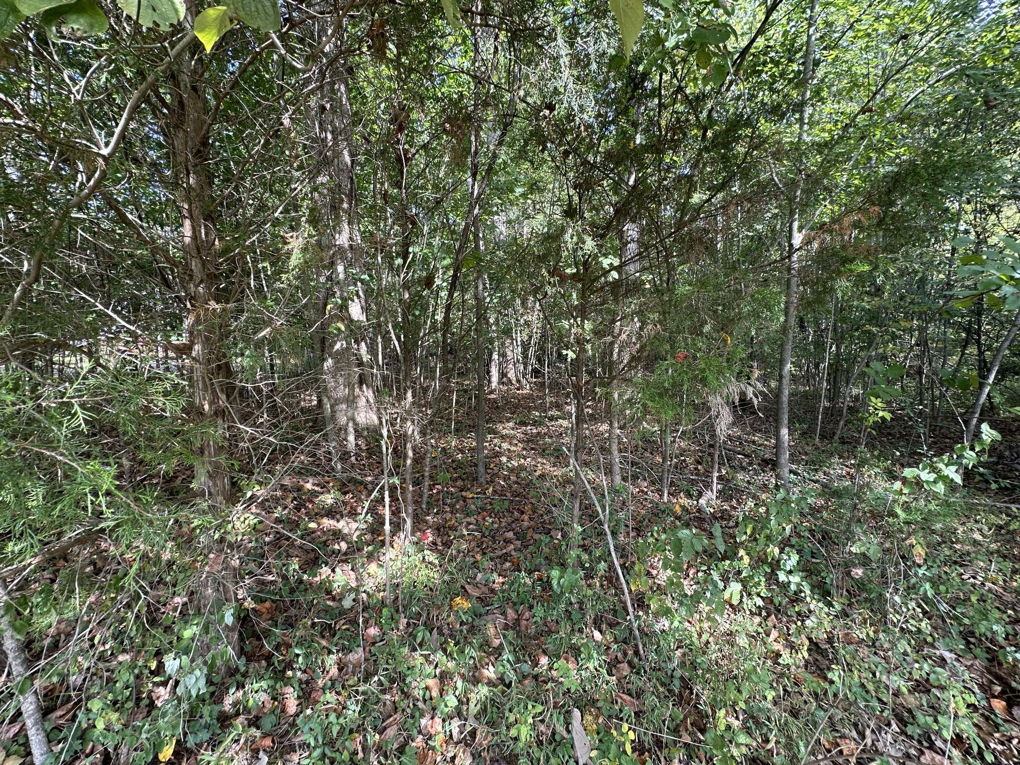 Portland, TN 37148,1010 Madalyn Way