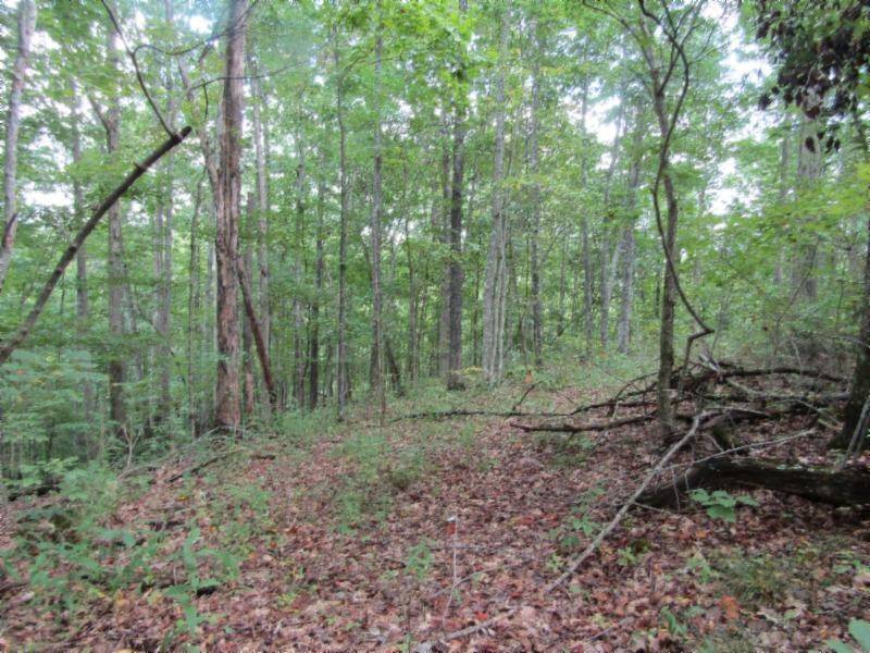 Celina, TN 38551,5 ac Backwoods Trail