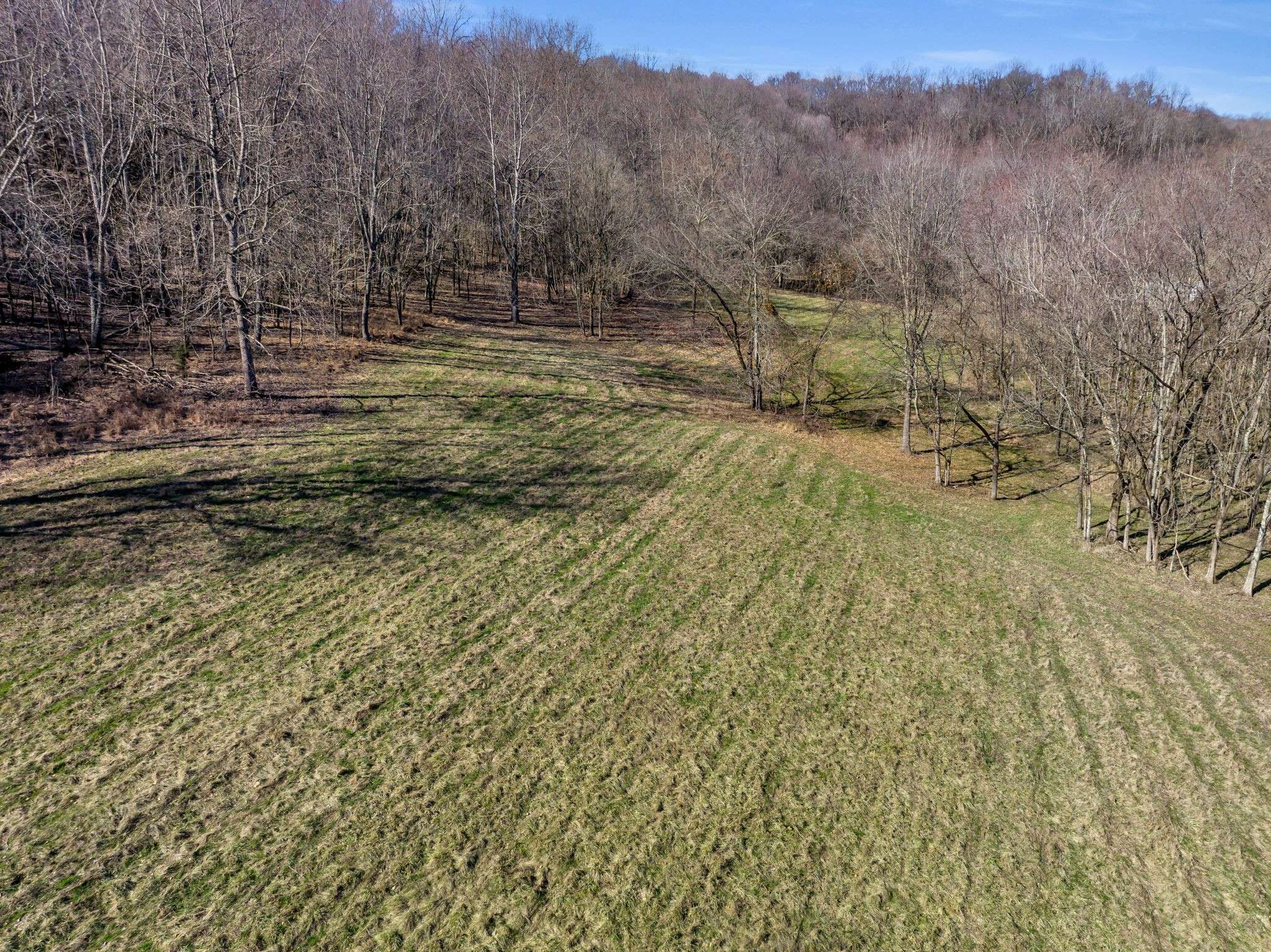 Franklin, TN 37064,3153 Blazer Rd #W