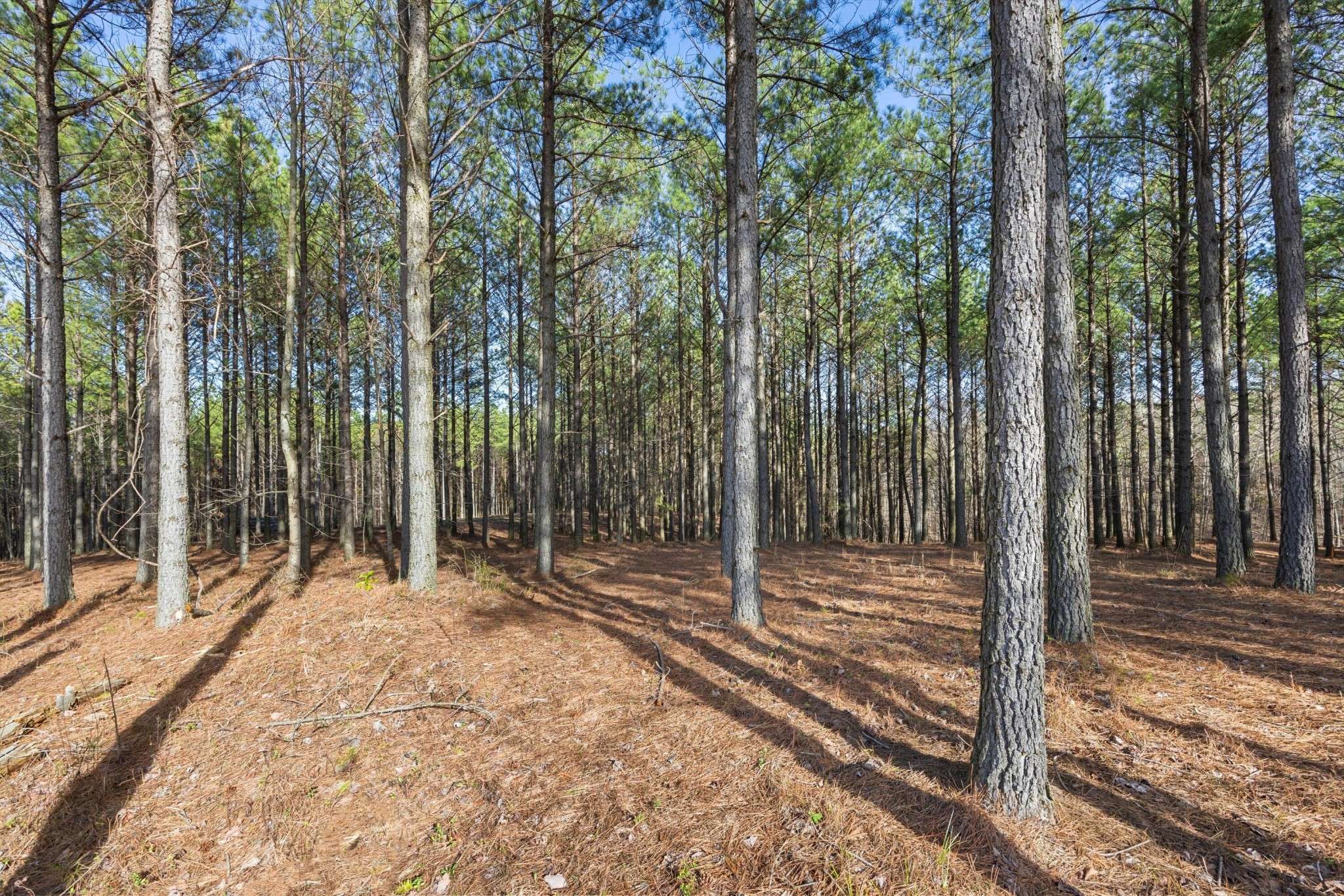 Jasper, TN 37347,260 Compass Drive