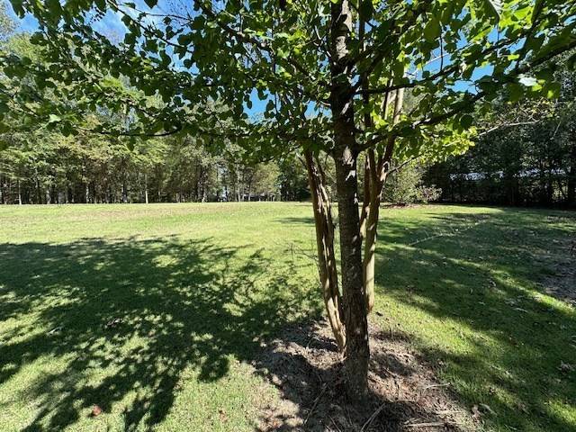 Camden, TN 38320,0 Sales Landing Rd