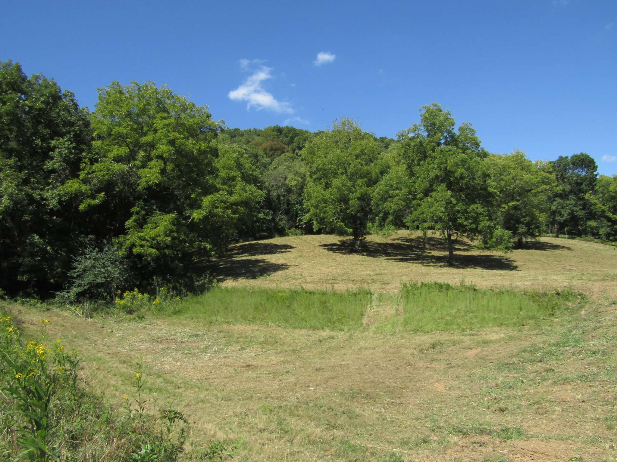 Lafayette, TN 37083,14 ac Hartsville Rd