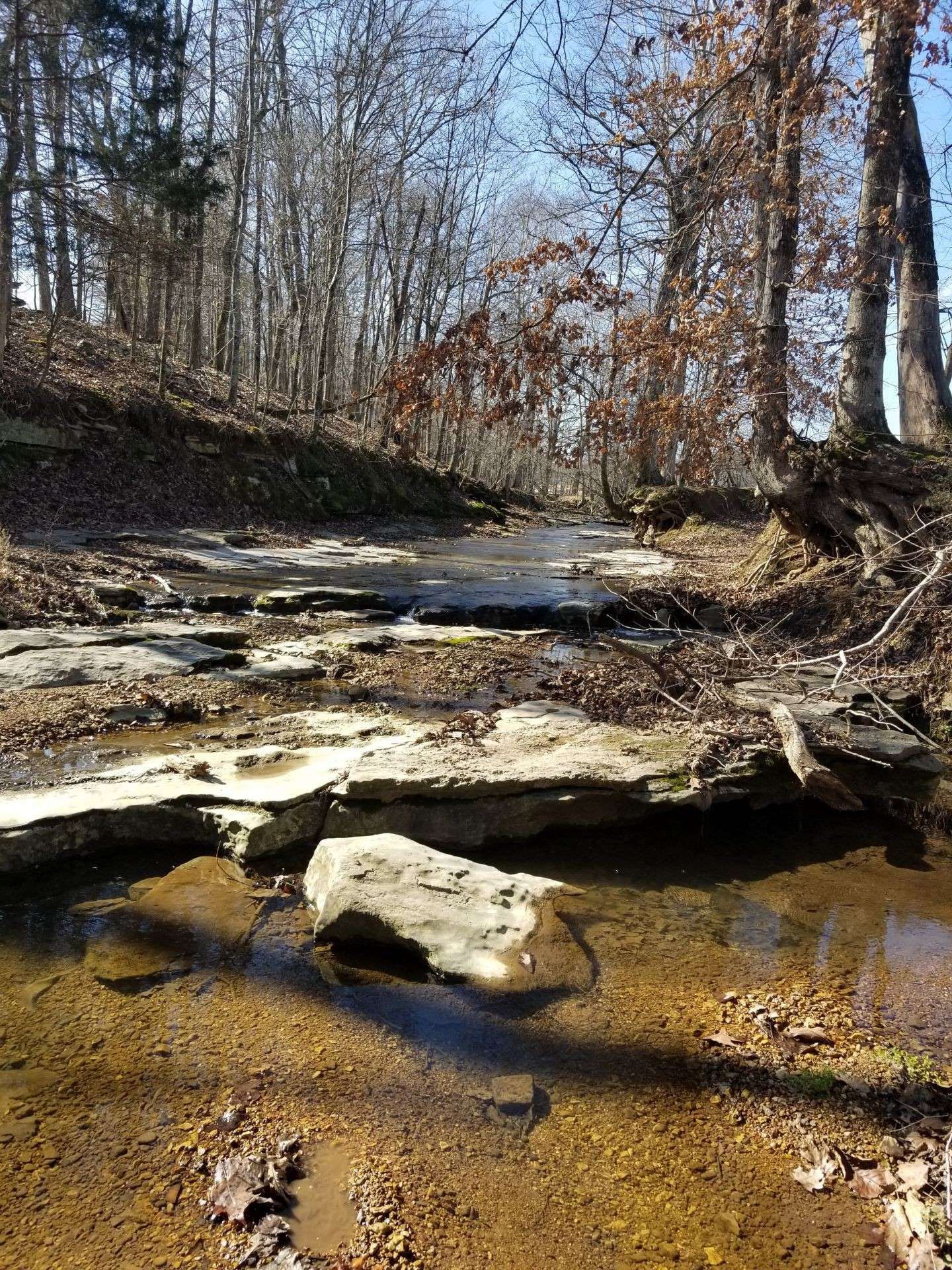 Cumberland Furnace, TN 37051,0 Indian Creek Road