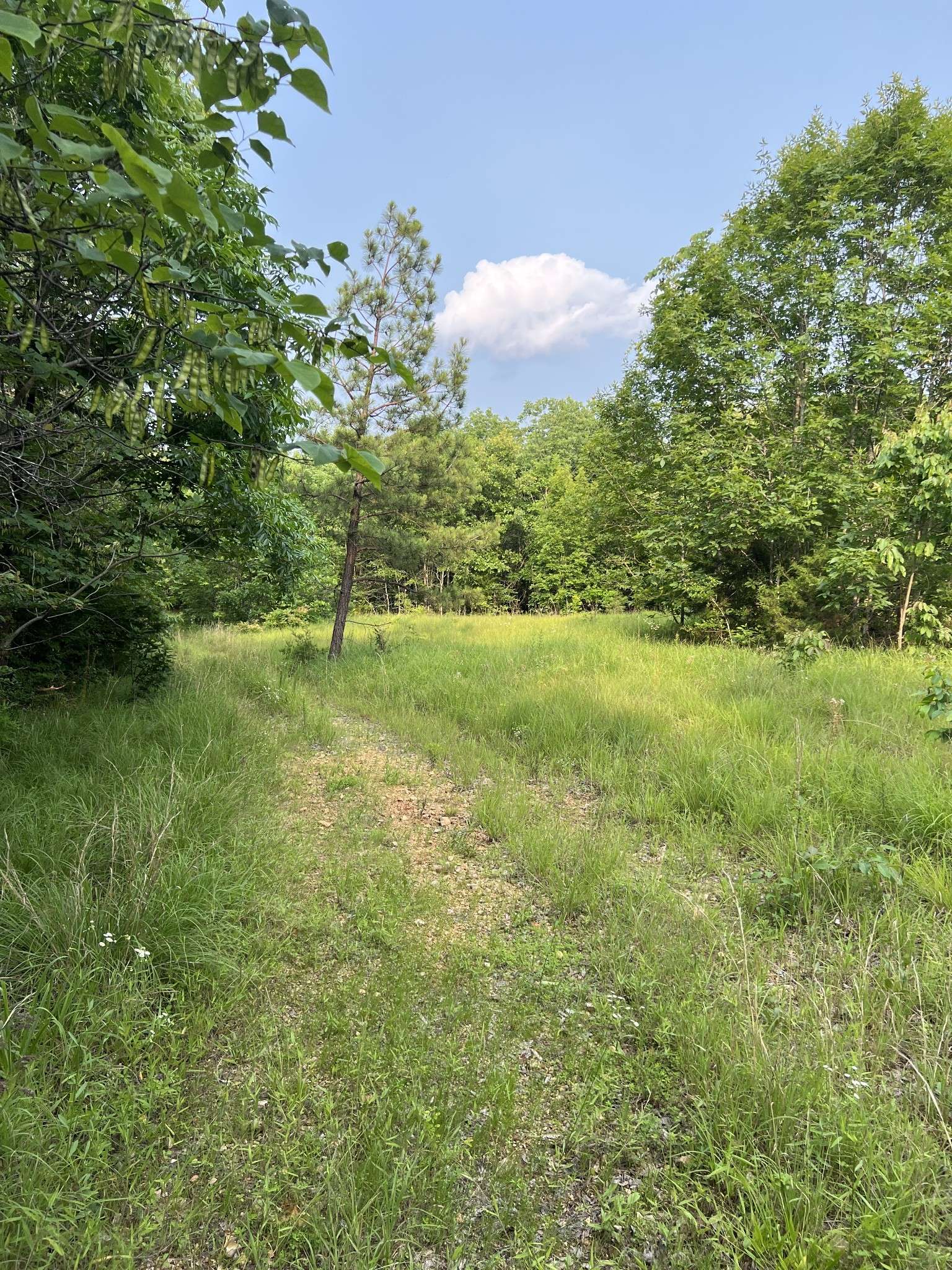 Hohenwald, TN 38462,1 Cane Creek Road
