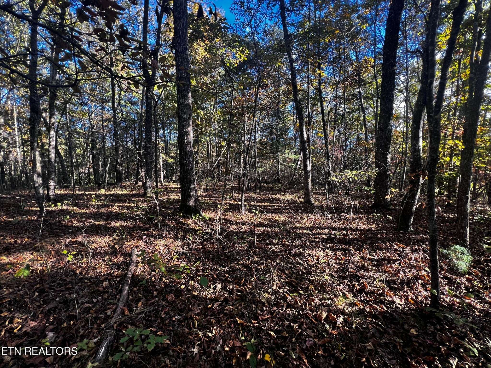 Crossville, TN 38572,1320 Black Cloud Dr