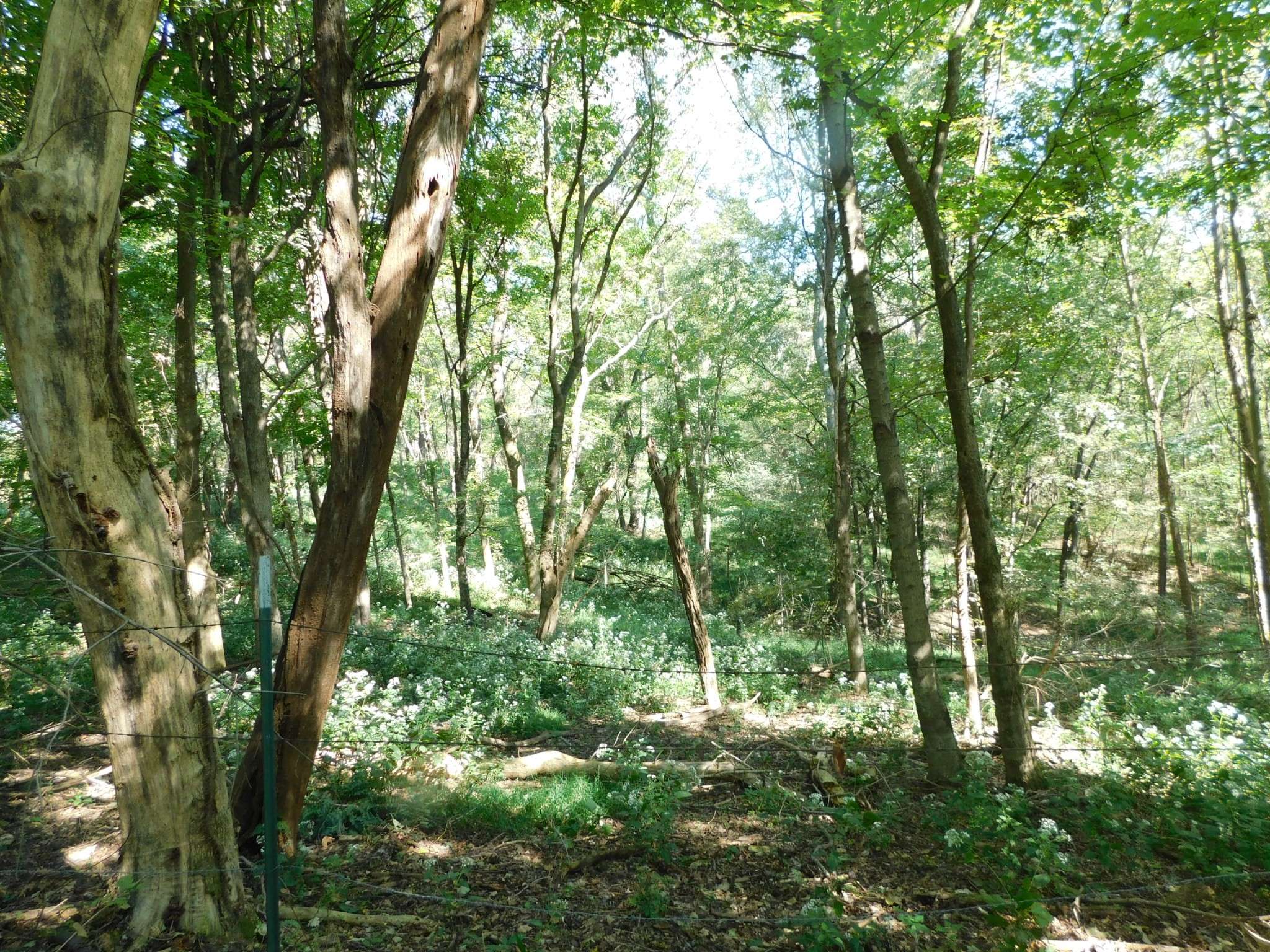 Gallatin, TN 37066,1101B HIDDEN COVE ROAD